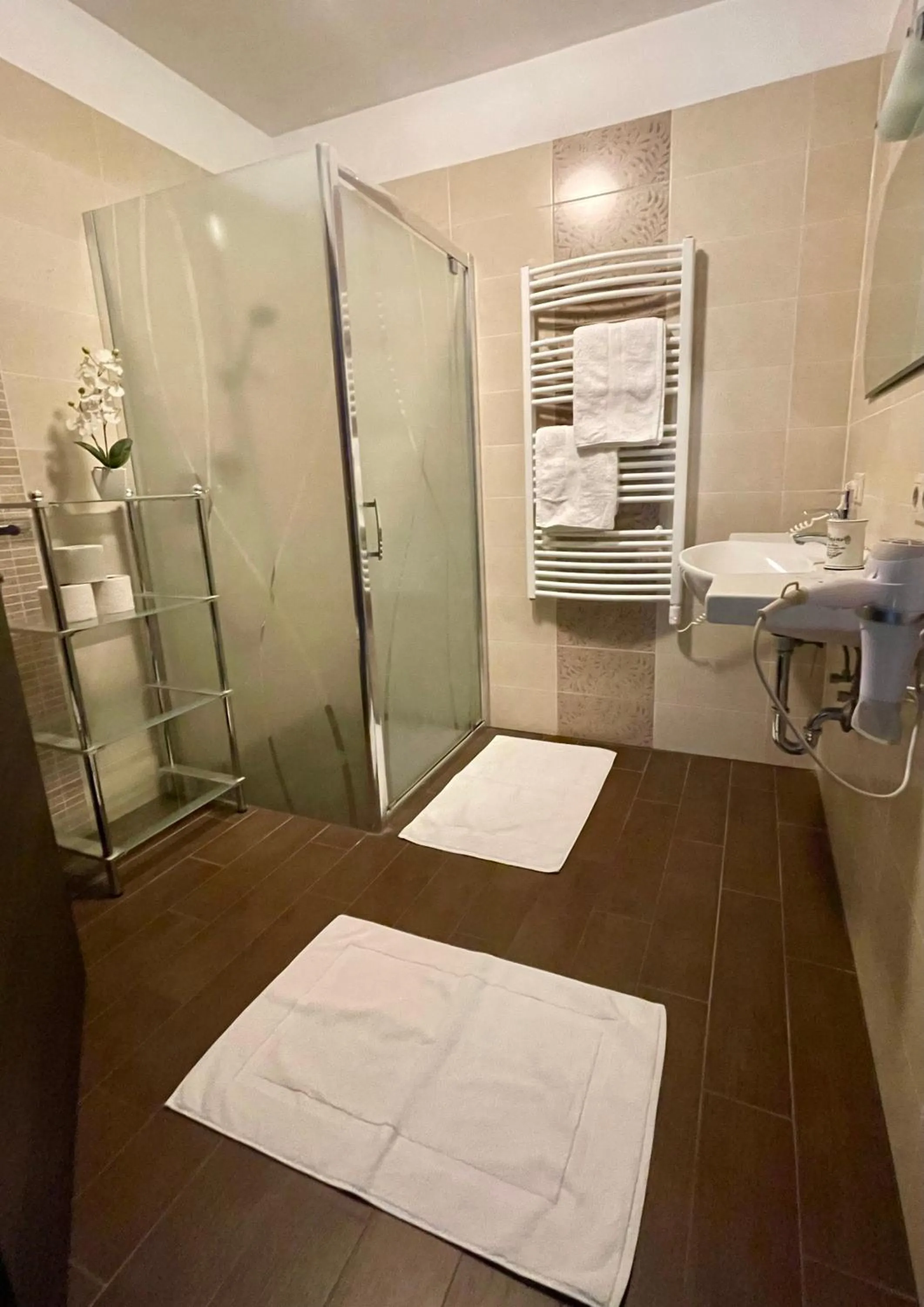 Shower in Hotel Alta Vista