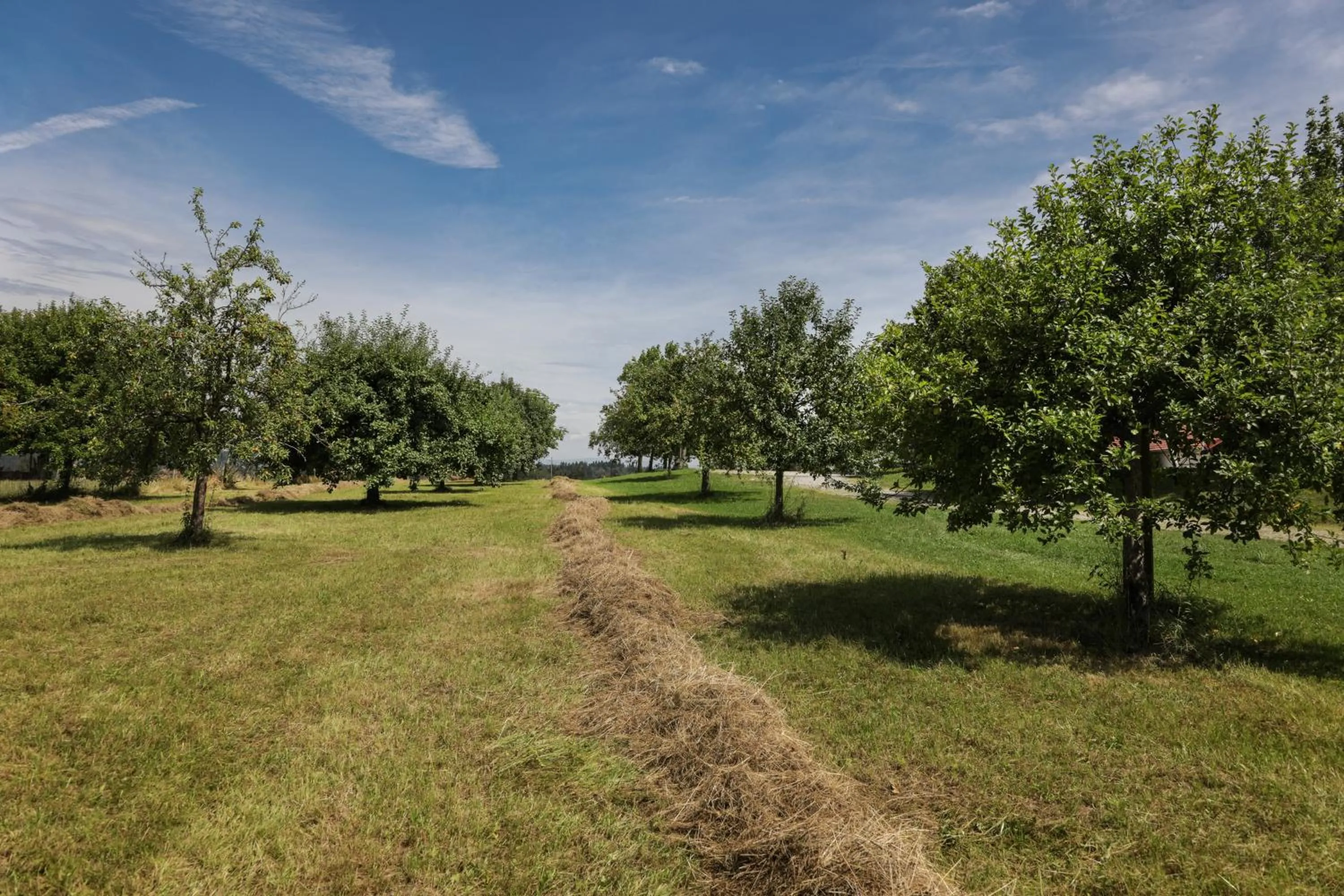 Garden view in Schätzlhof OHG