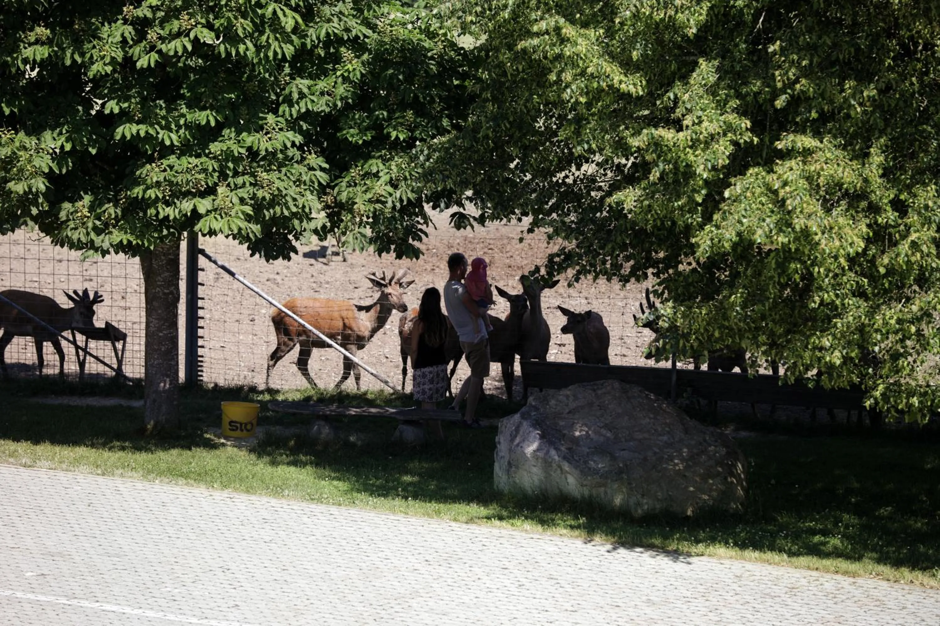 Garden in Schätzlhof OHG