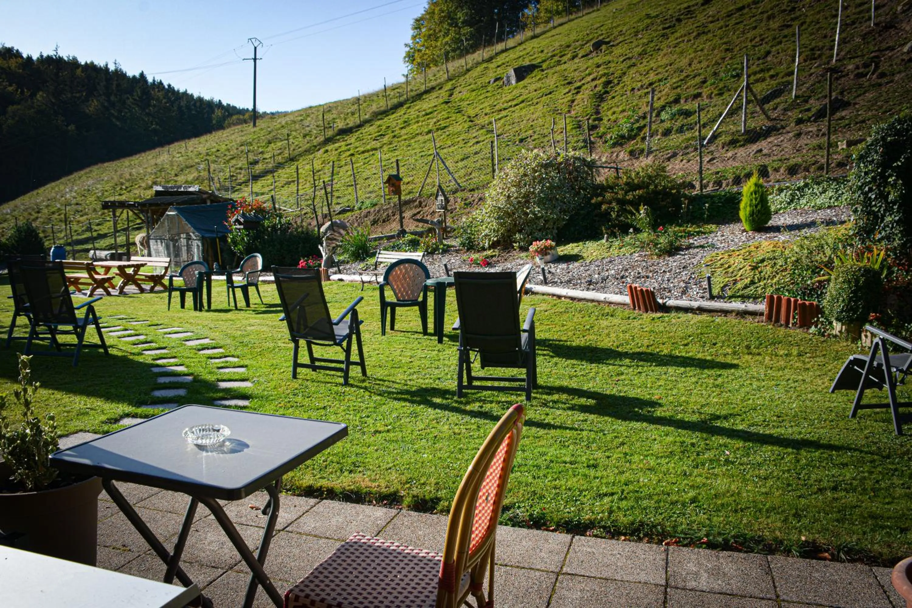 Garden view in Logis Hôtel Restaurant La Petite Auberge Alsace