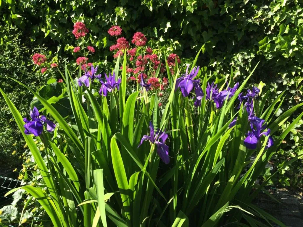 Bed & Breakfast Esprit de Mer