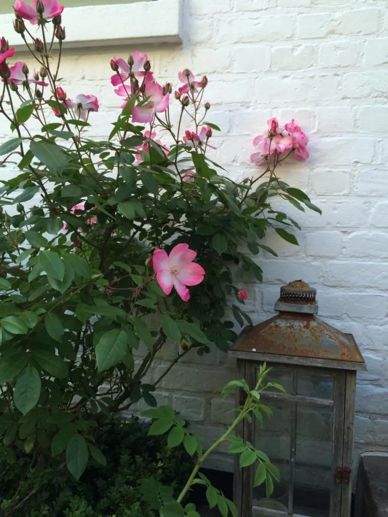 Bed & Breakfast Esprit de Mer