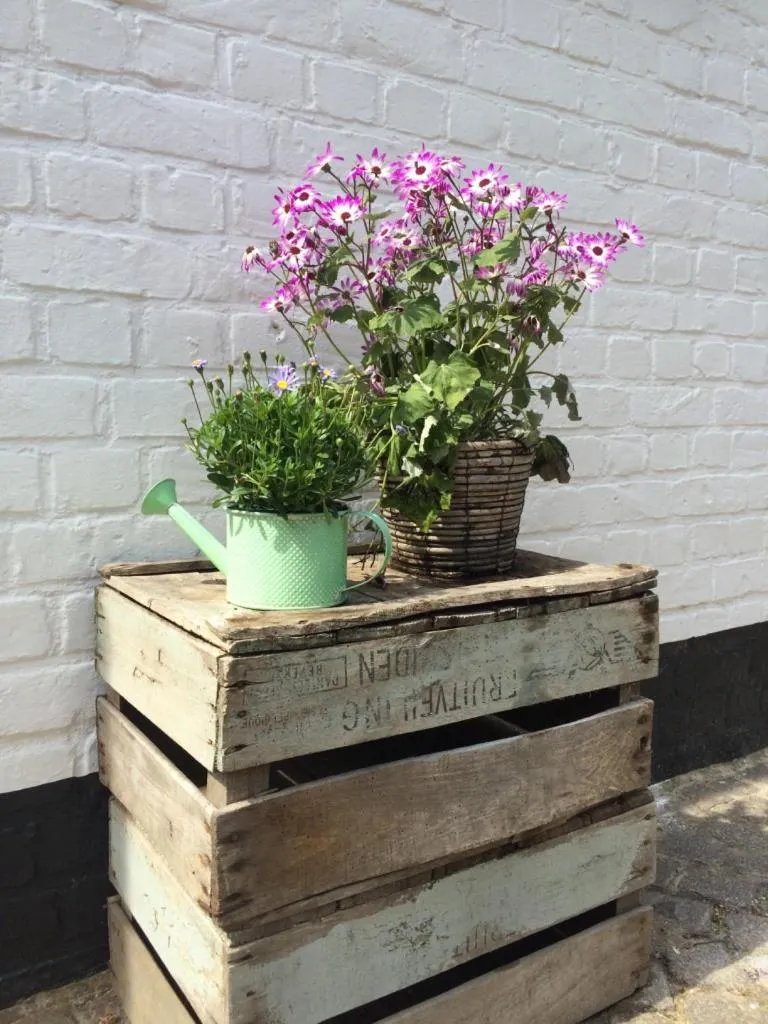 Garden view in Bed & Breakfast Esprit de Mer