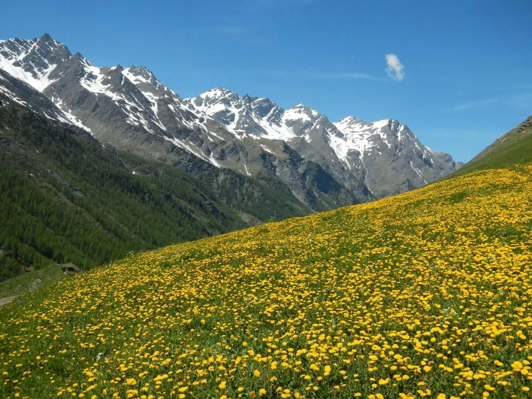 Spring in Il Fraitevino hotel bed & breakfast