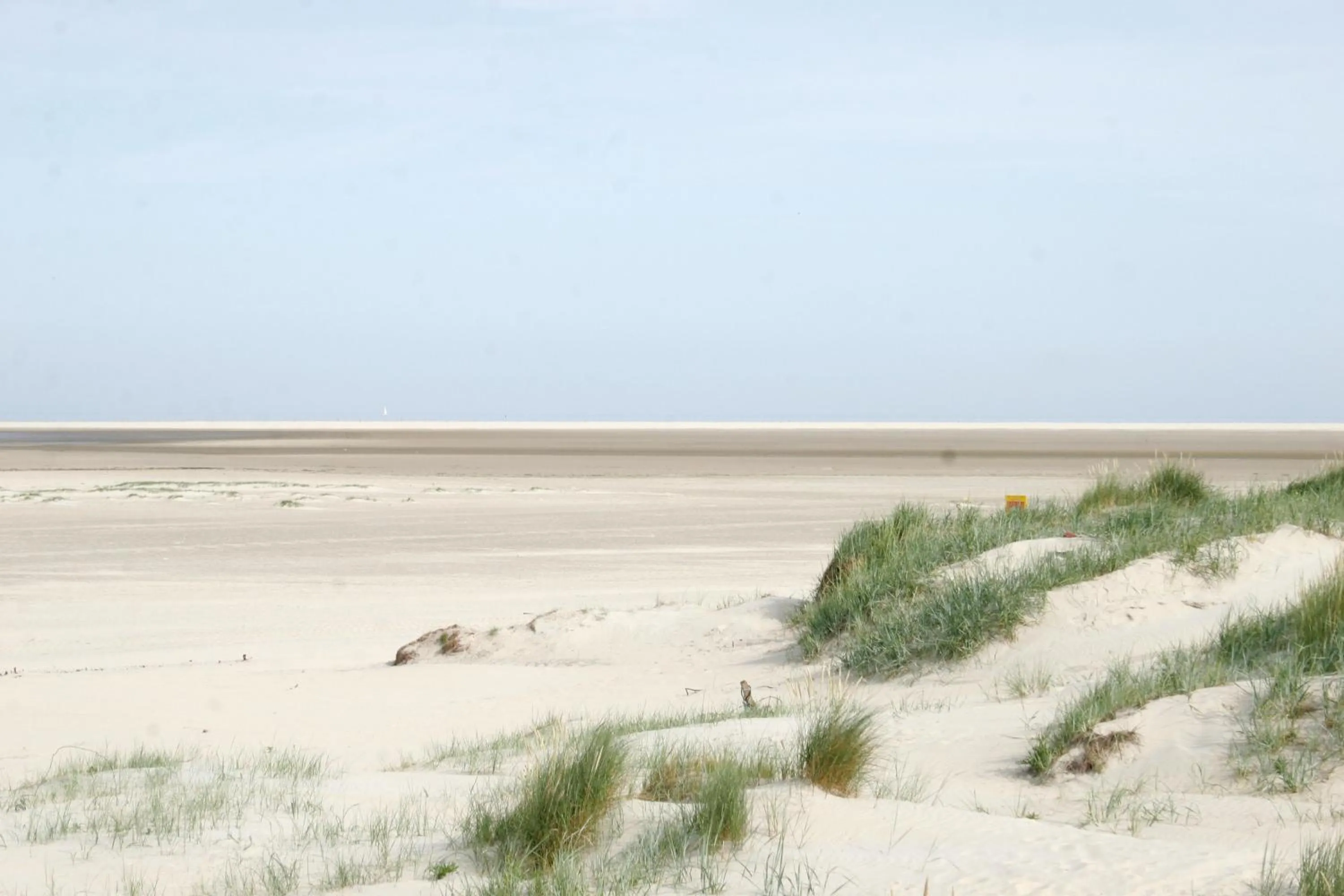 Area and facilities in Hotel Villa Weststrand