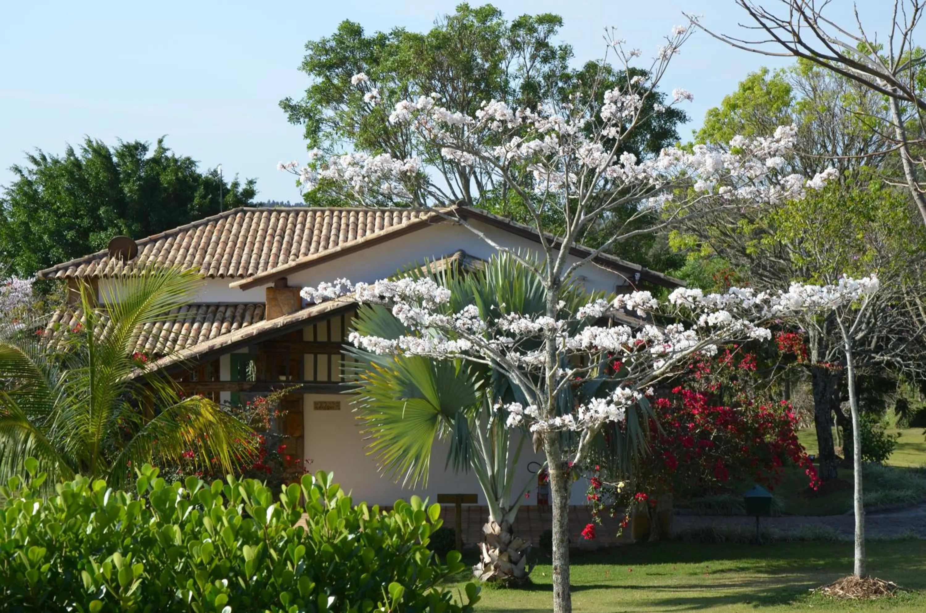 Patio in Lake Vilas Charm Hotel & SPA
