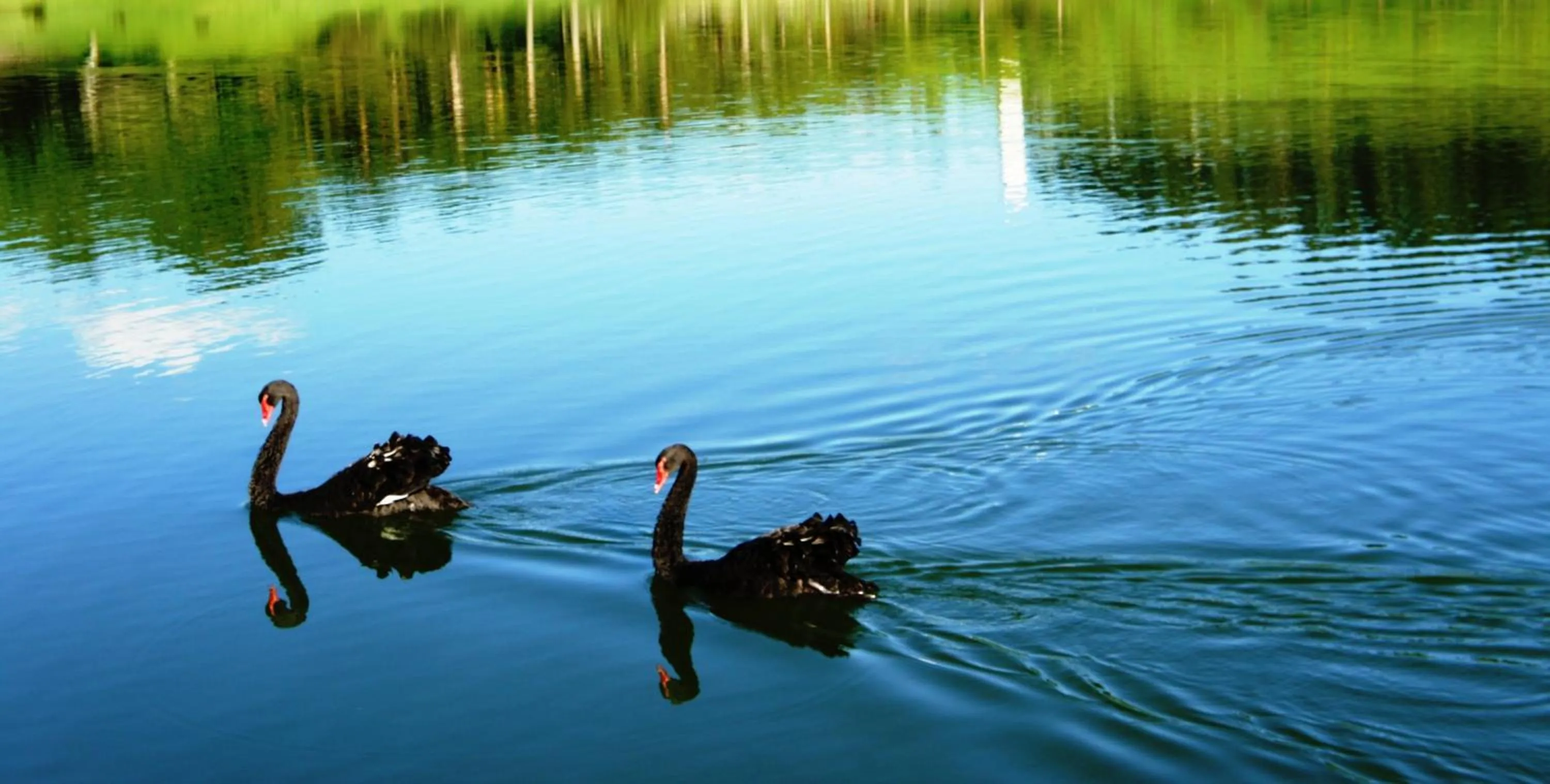 Day in Lake Vilas Charm Hotel & SPA