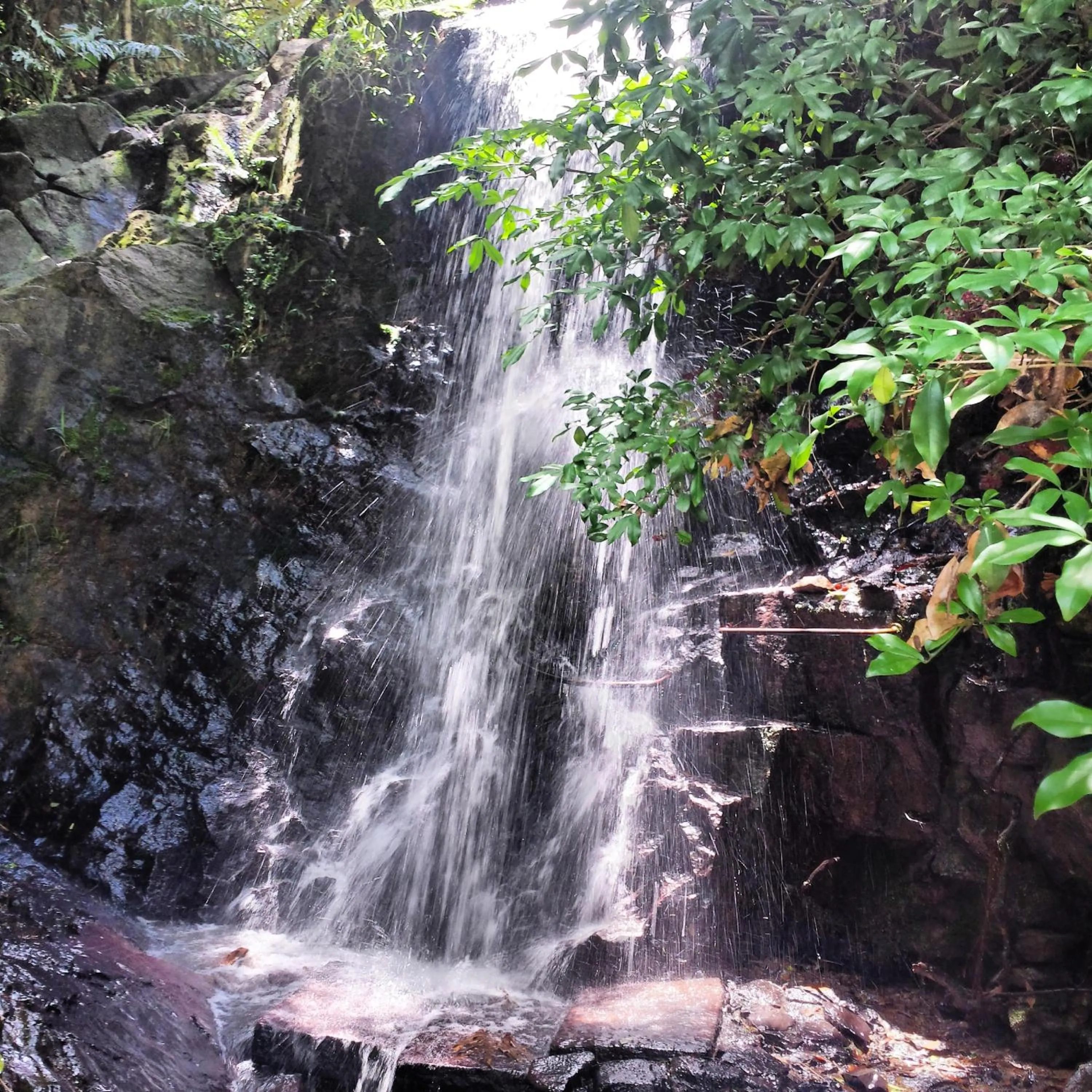 Natural landscape in Lake Vilas Charm Hotel & SPA