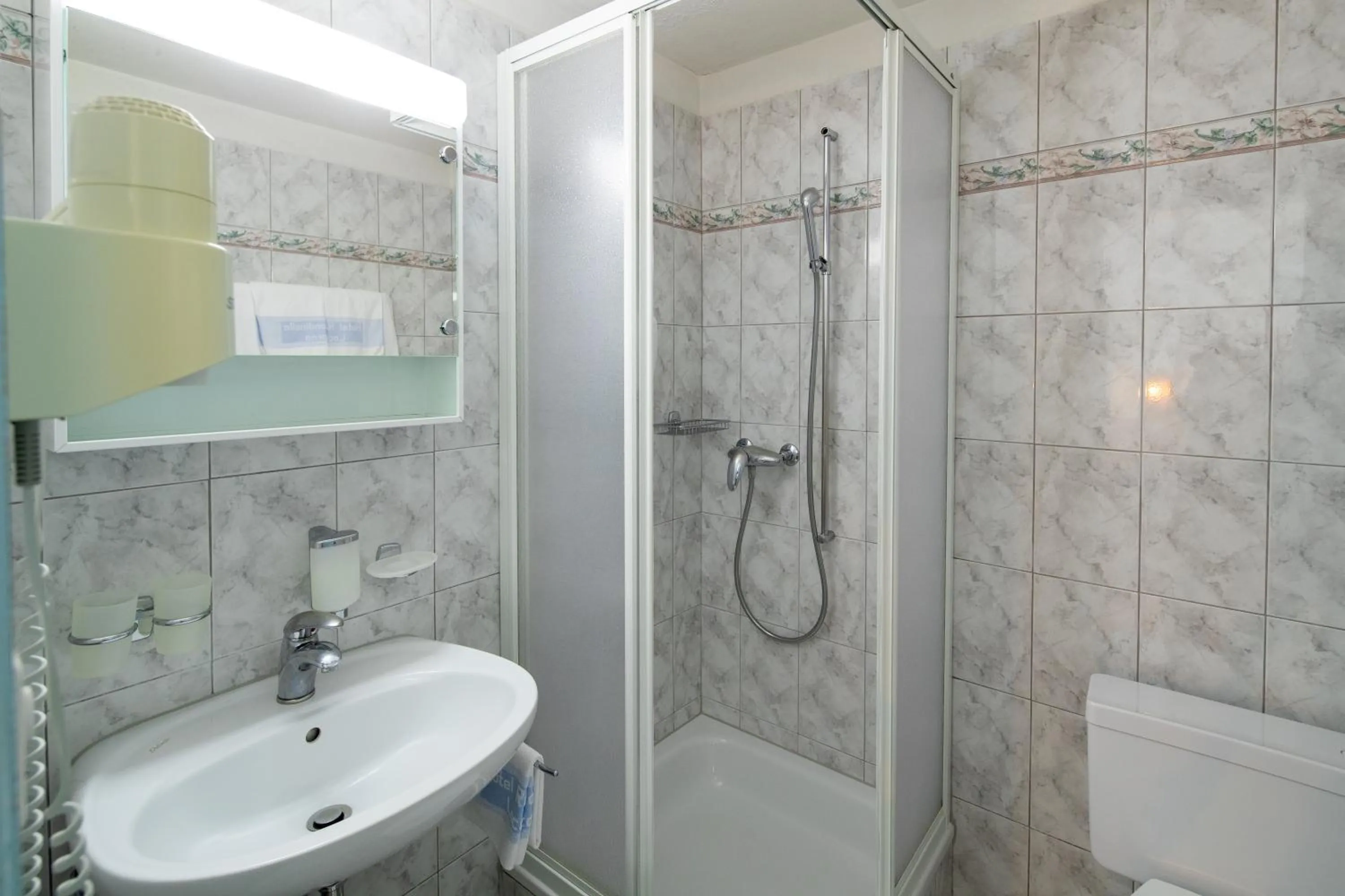 Toilet in Hotel Rondinella Locarno