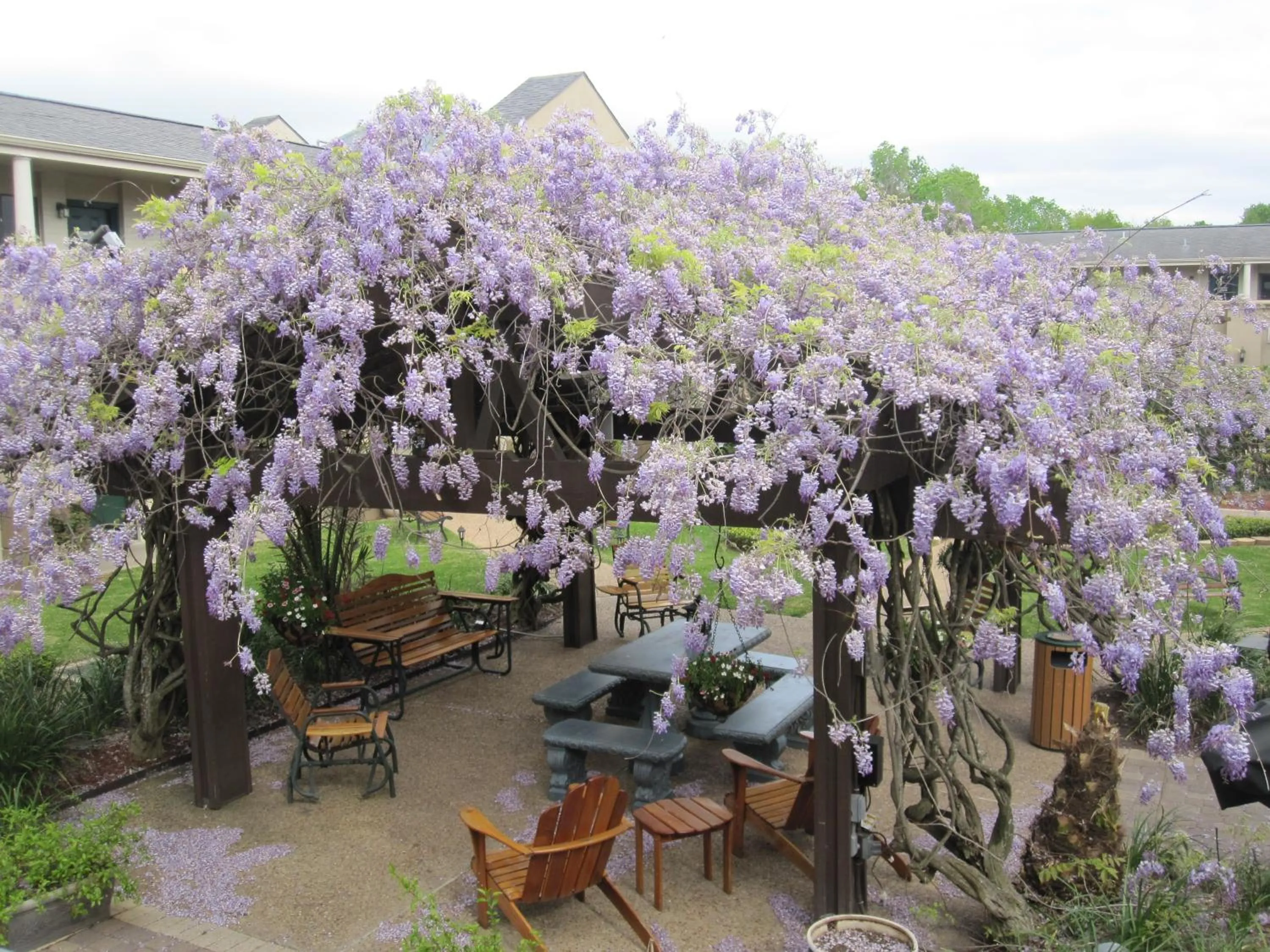 Patio in Vineyard Court Designer Suites Hotel