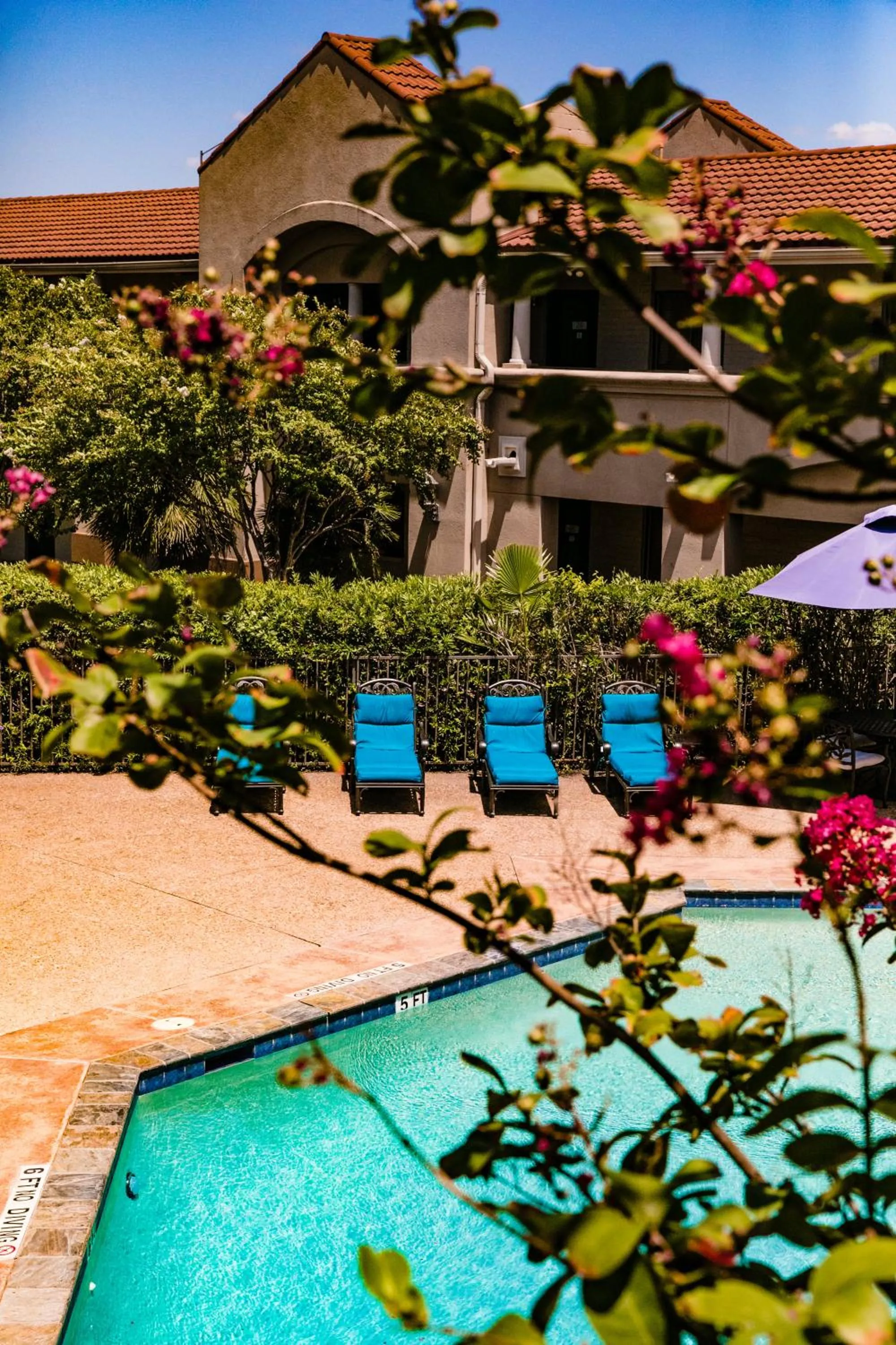 Swimming pool in Vineyard Court Designer Suites Hotel