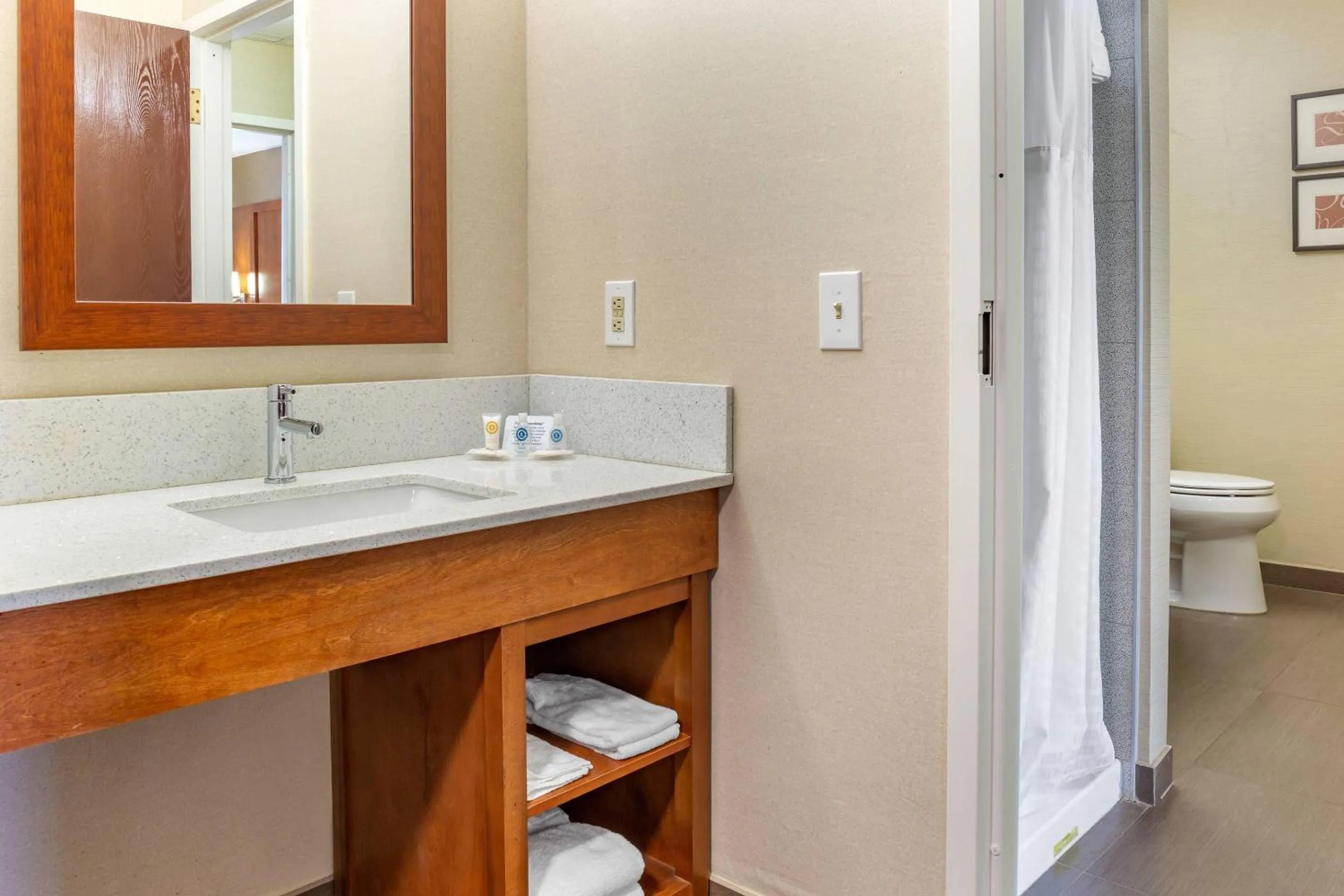 Bedroom in Comfort Suites Dover University Area