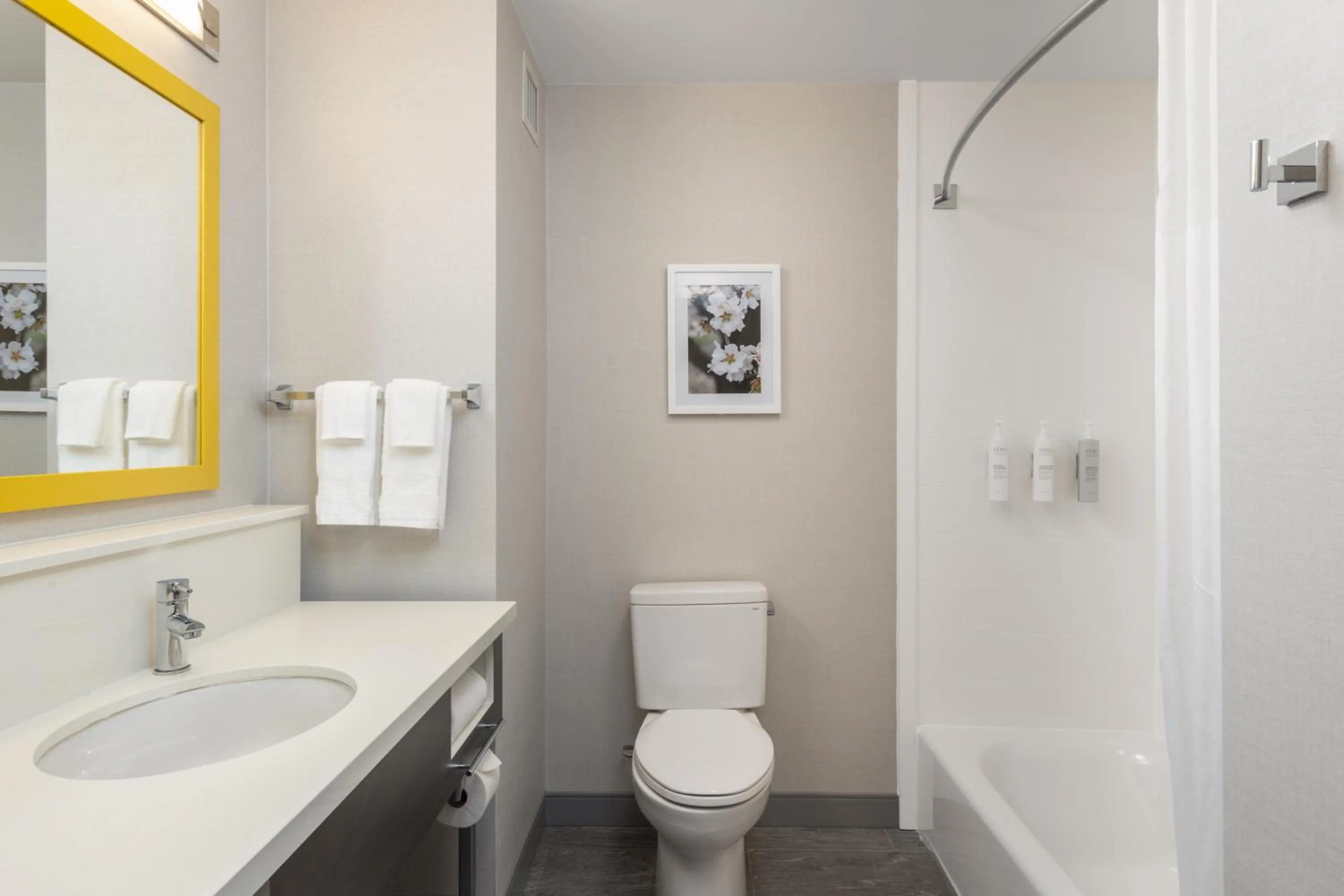 Shower in Hampton Inn & Suites Manteca