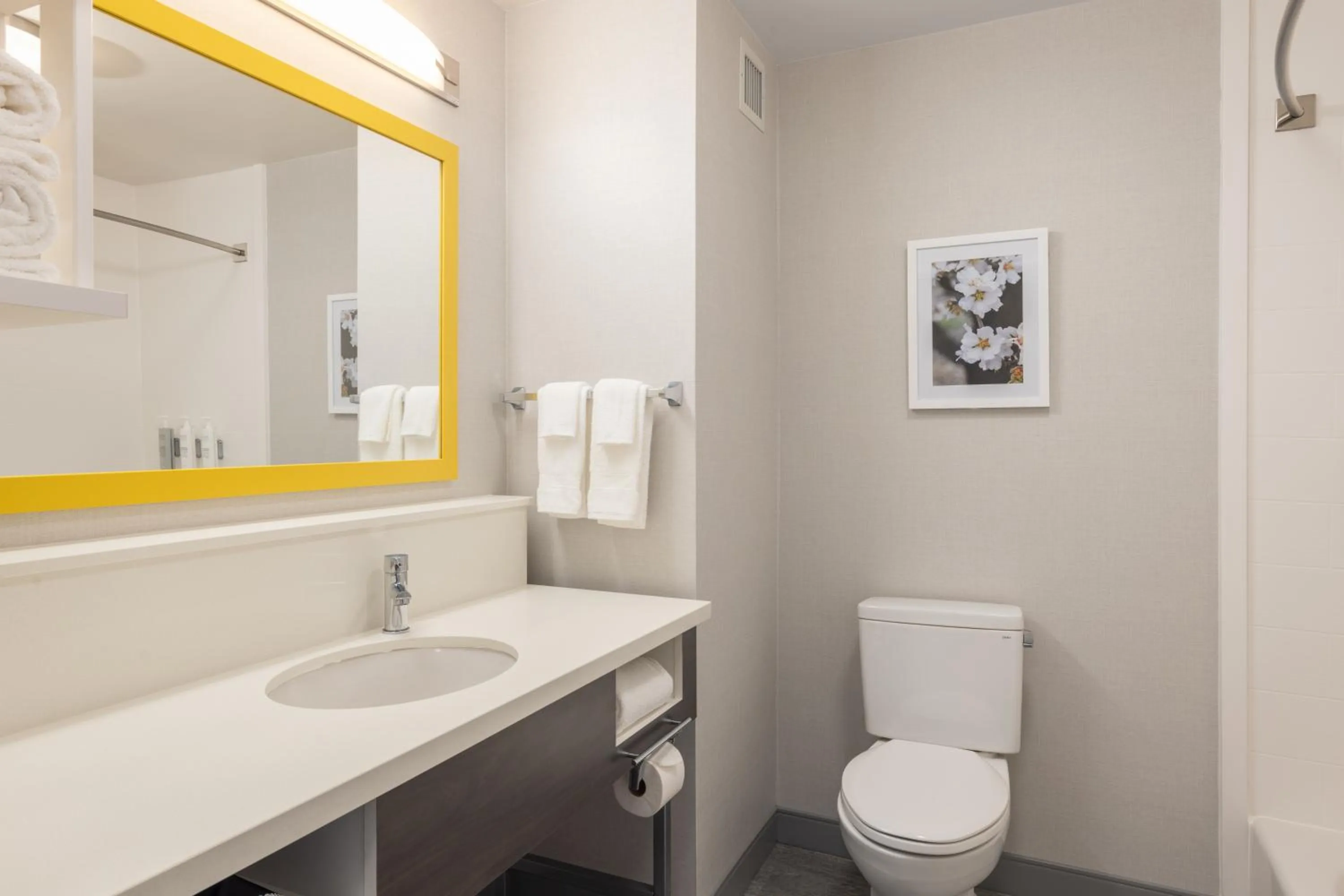 Toilet in Hampton Inn & Suites Manteca