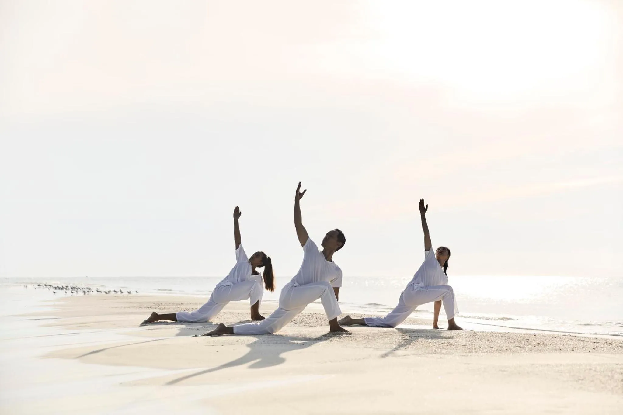 Area and facilities in COMO Cocoa Island