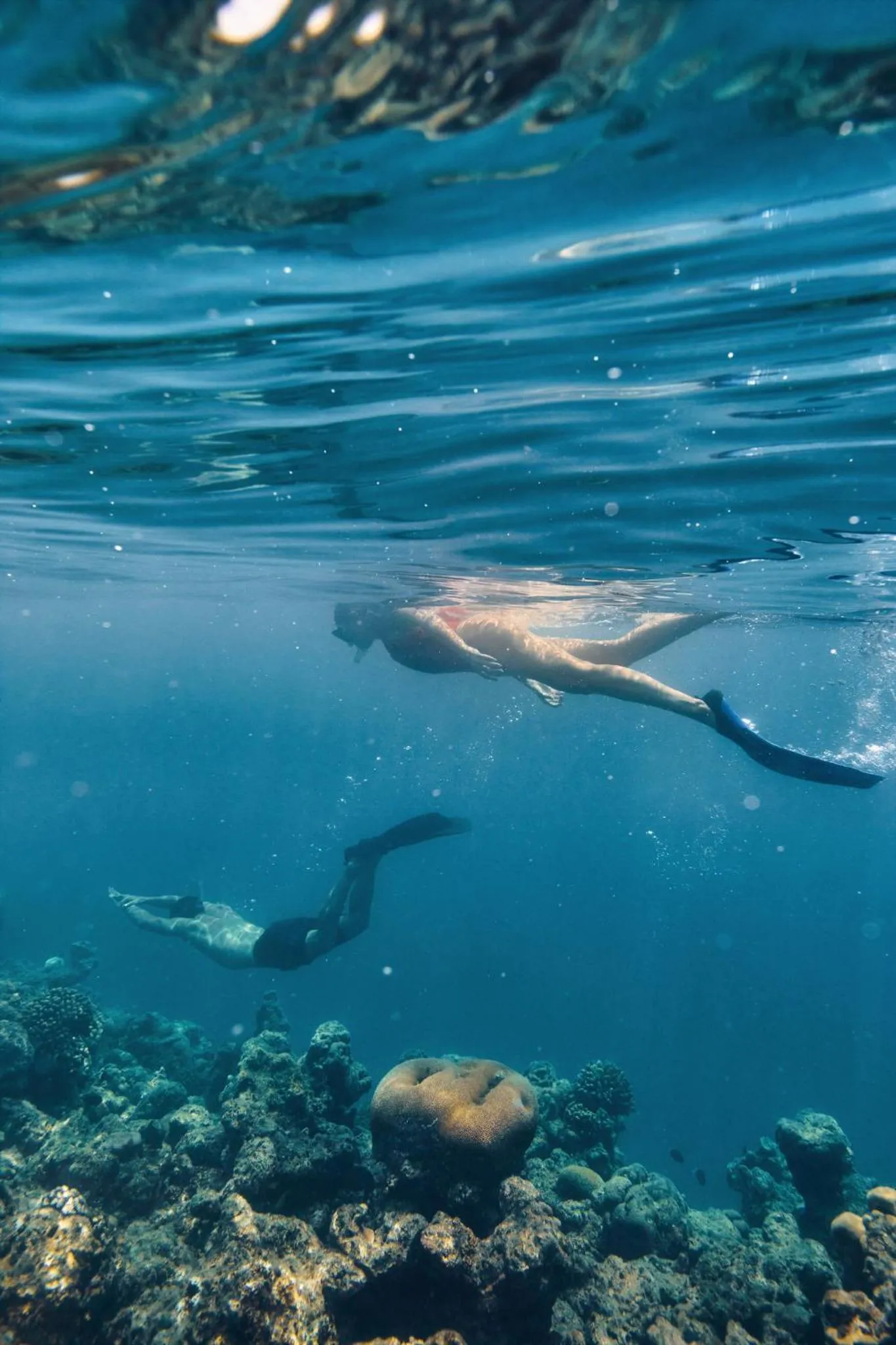 Activities in COMO Cocoa Island