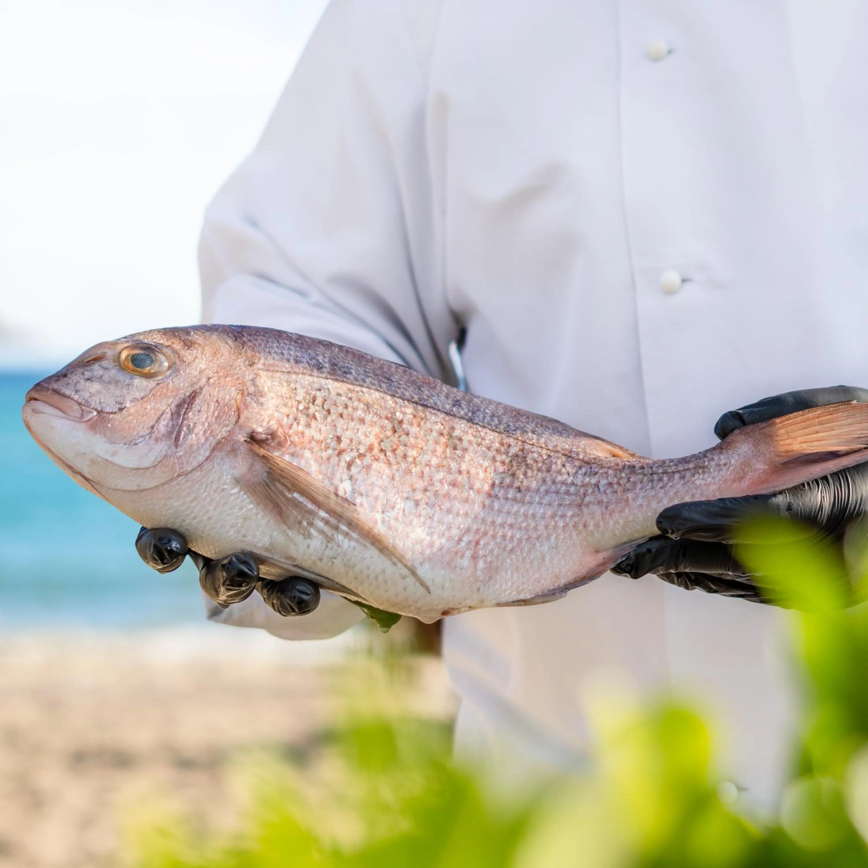 Restaurant/places to eat in Georgalas Sun Beach Resort