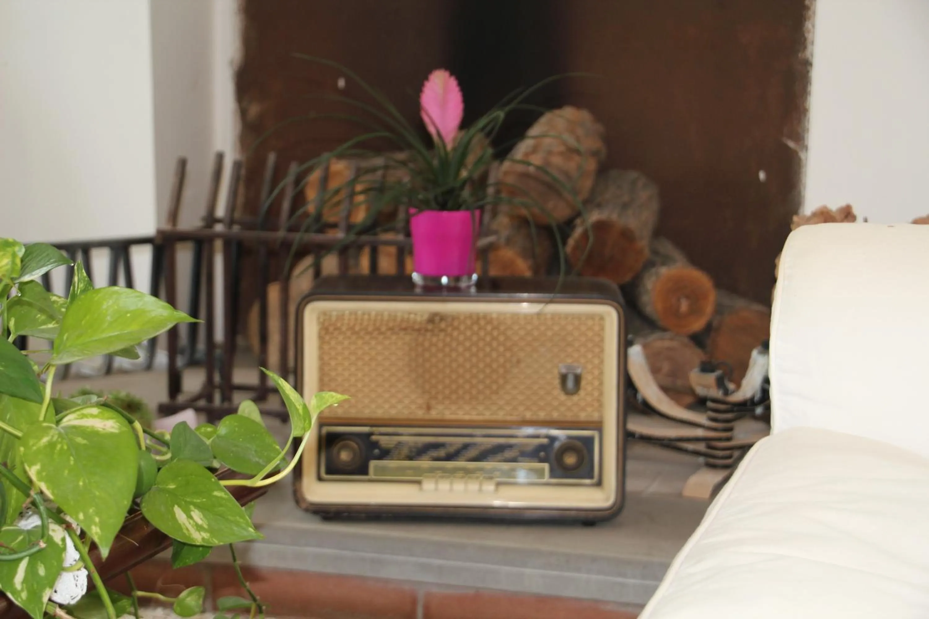 Decorative detail in Hotel Rurale Canneviè