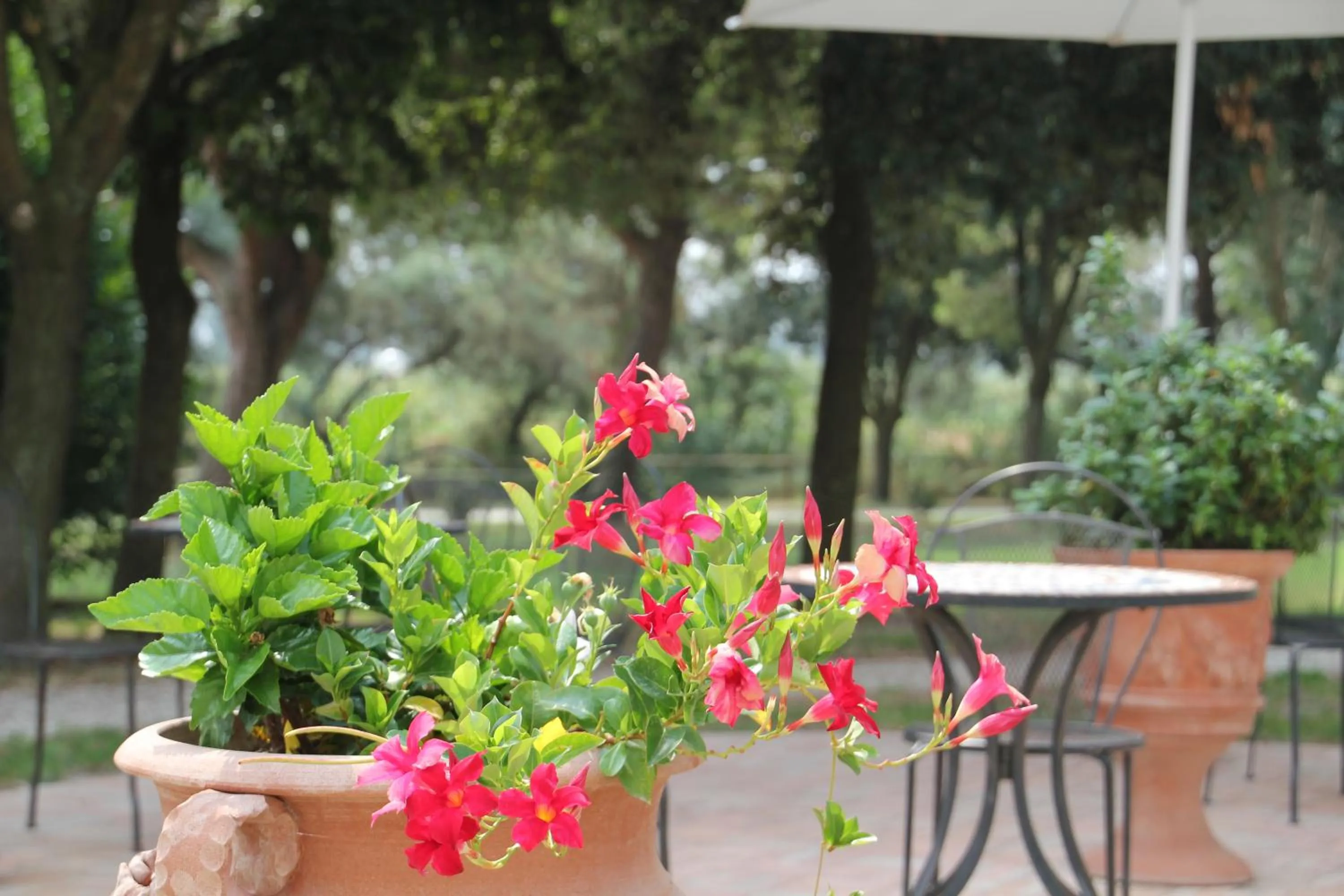 Breakfast in Hotel Rurale Canneviè