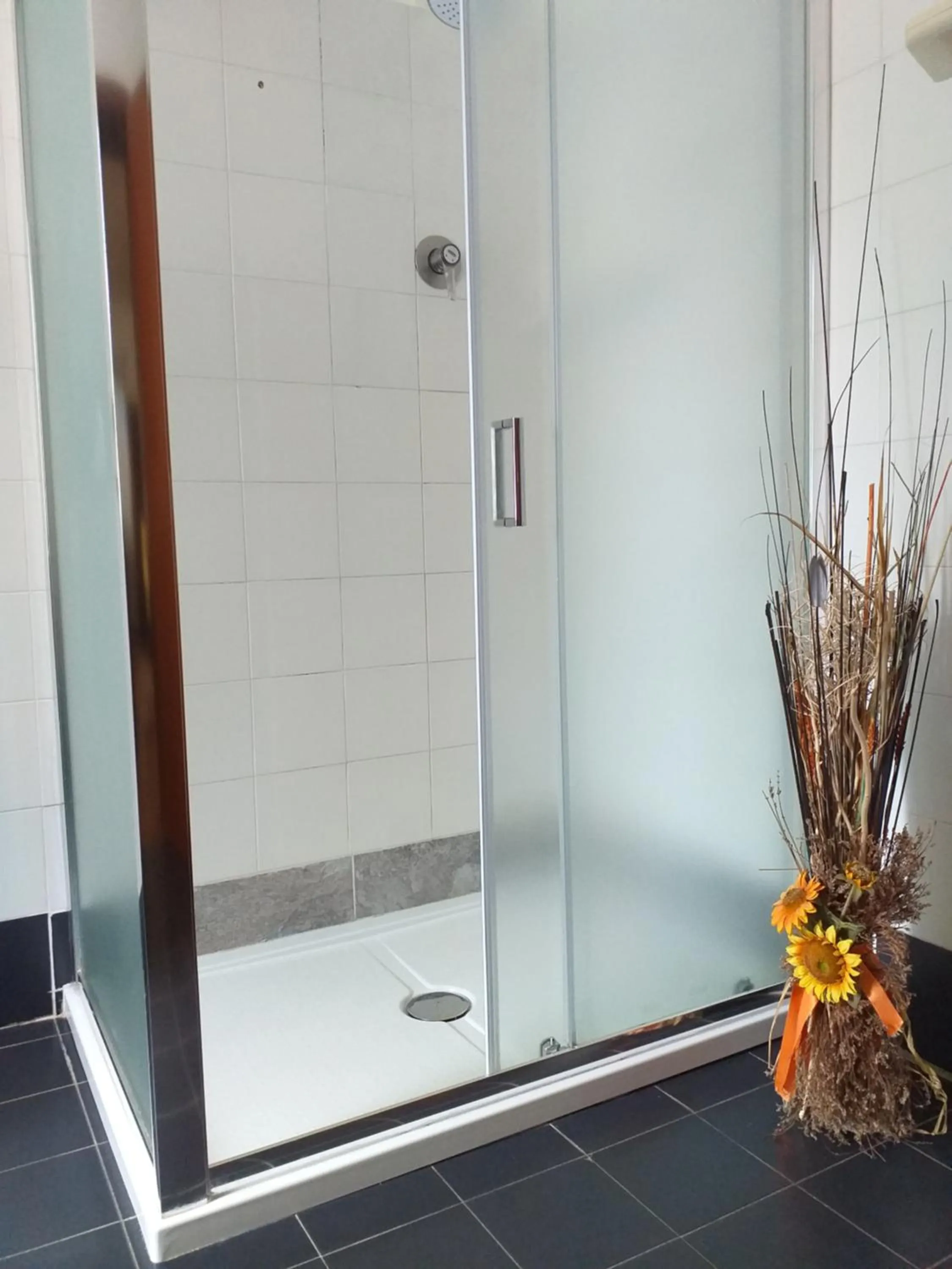 Bathroom in Hotel Rurale Canneviè