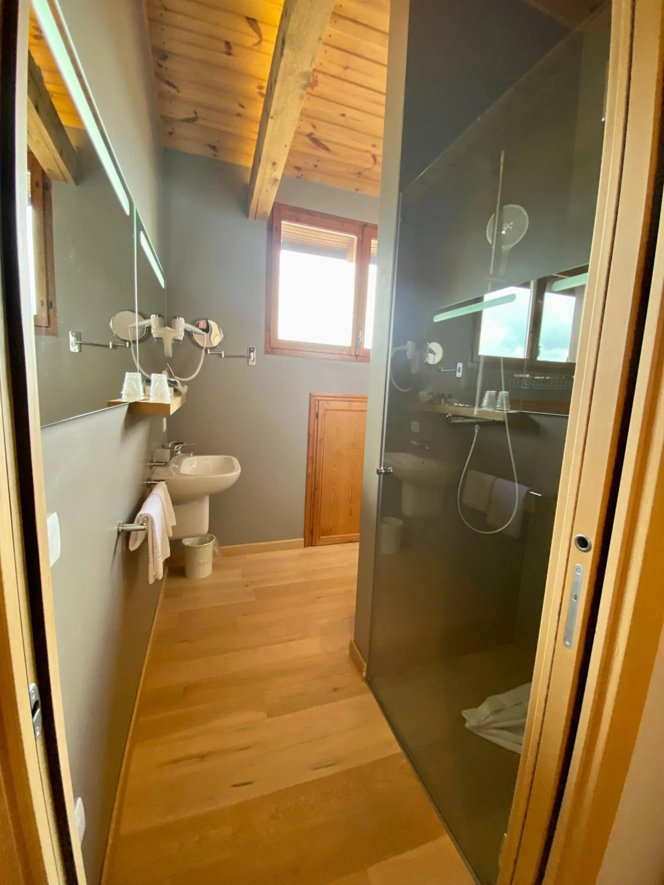 Shower, Bathroom in Albergo Rutzer