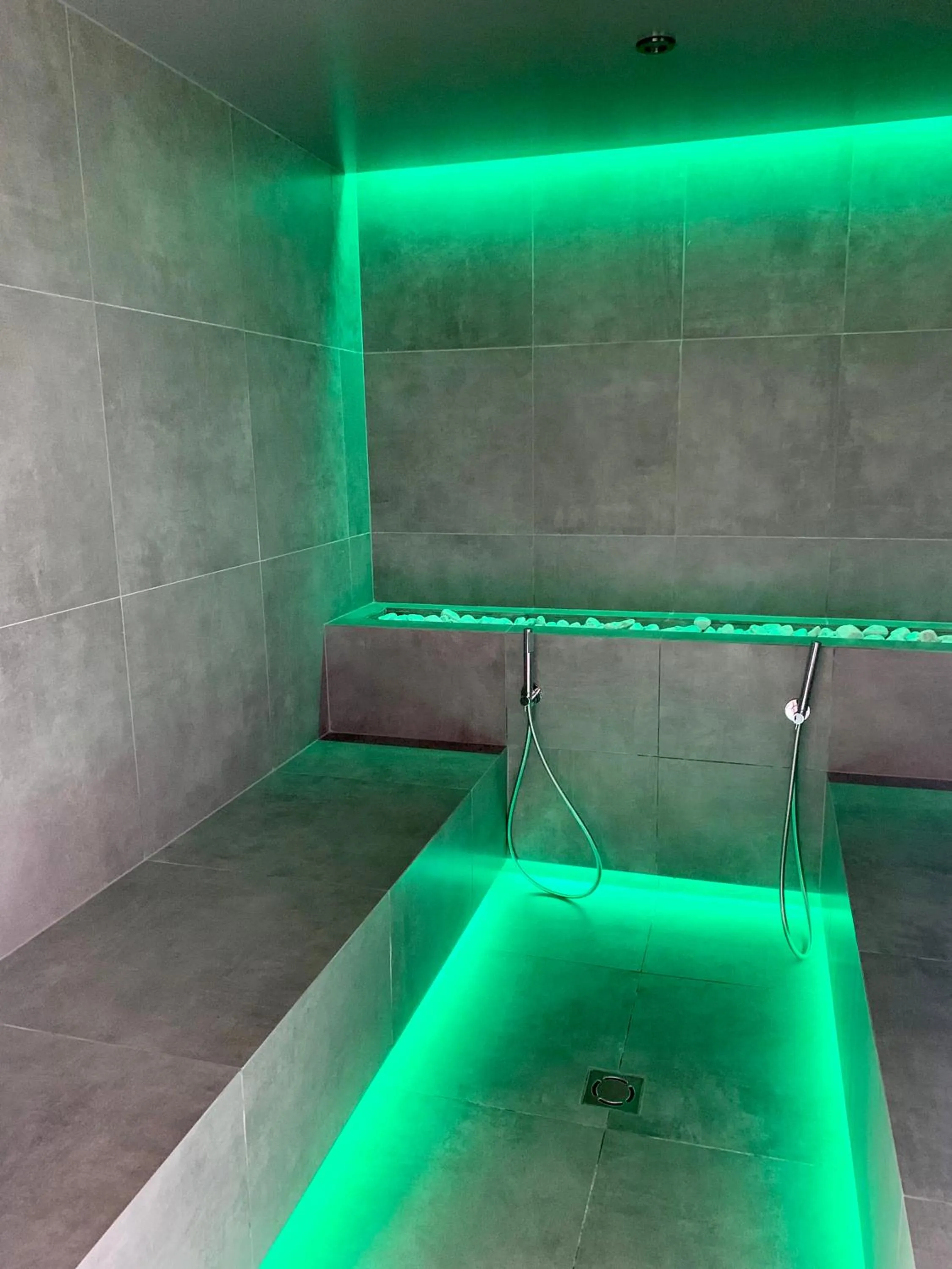 Steam room, Swimming Pool in Albergo Rutzer