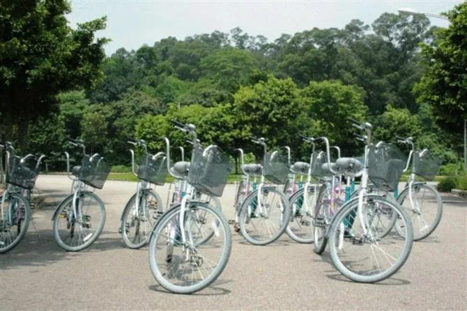 Activities in University Town International Hotel