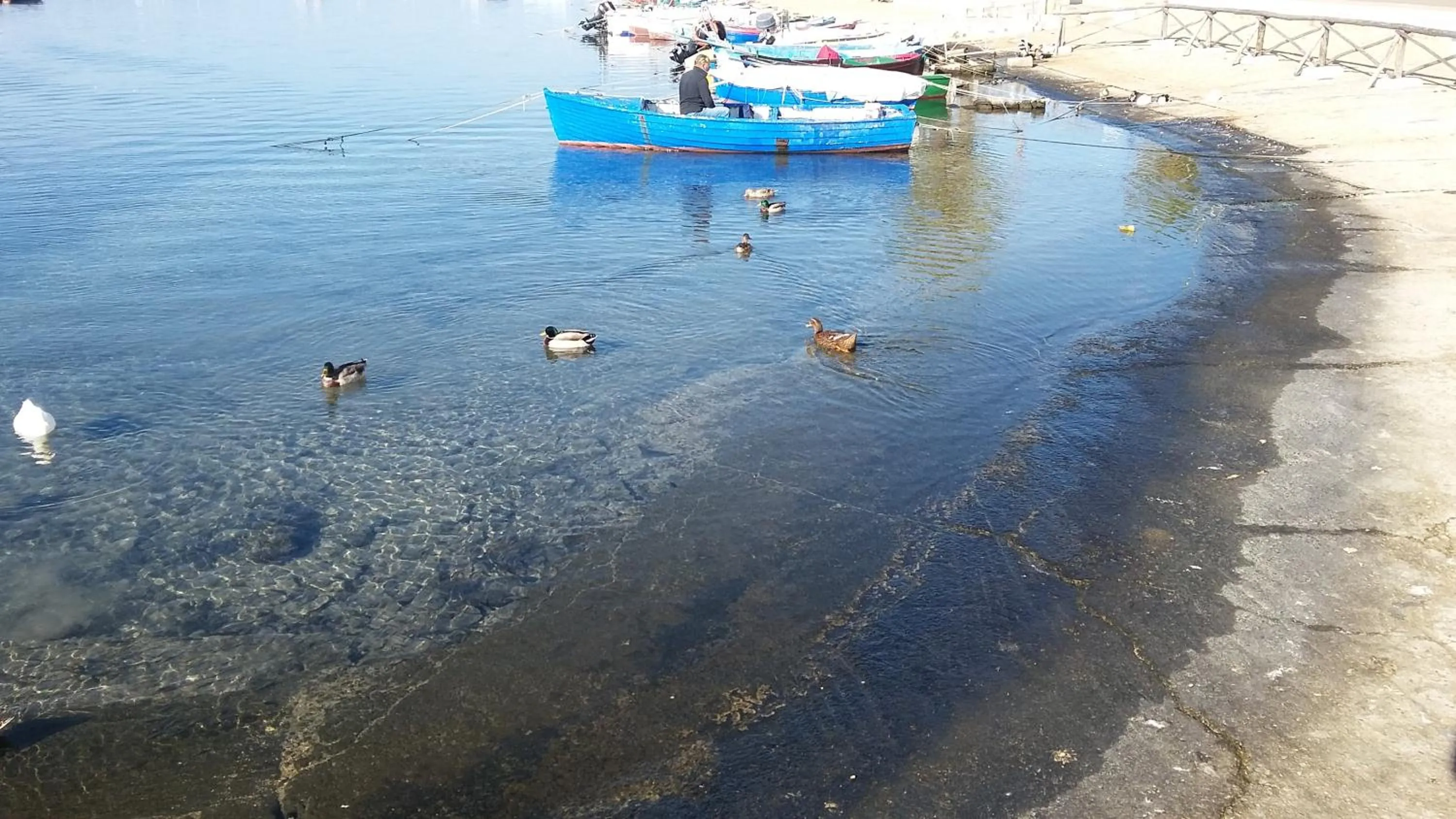 Beach in Eco Green La Vigna