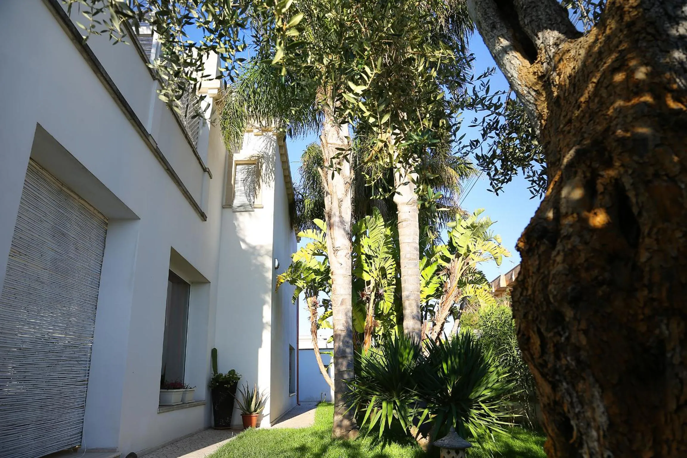Property building in Eco Green La Vigna