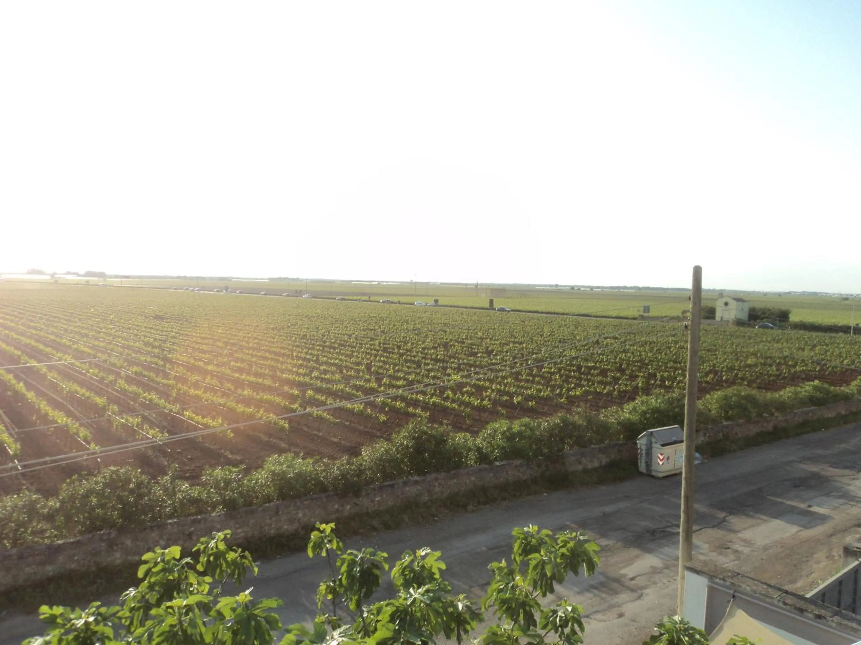 Property building in Eco Green La Vigna
