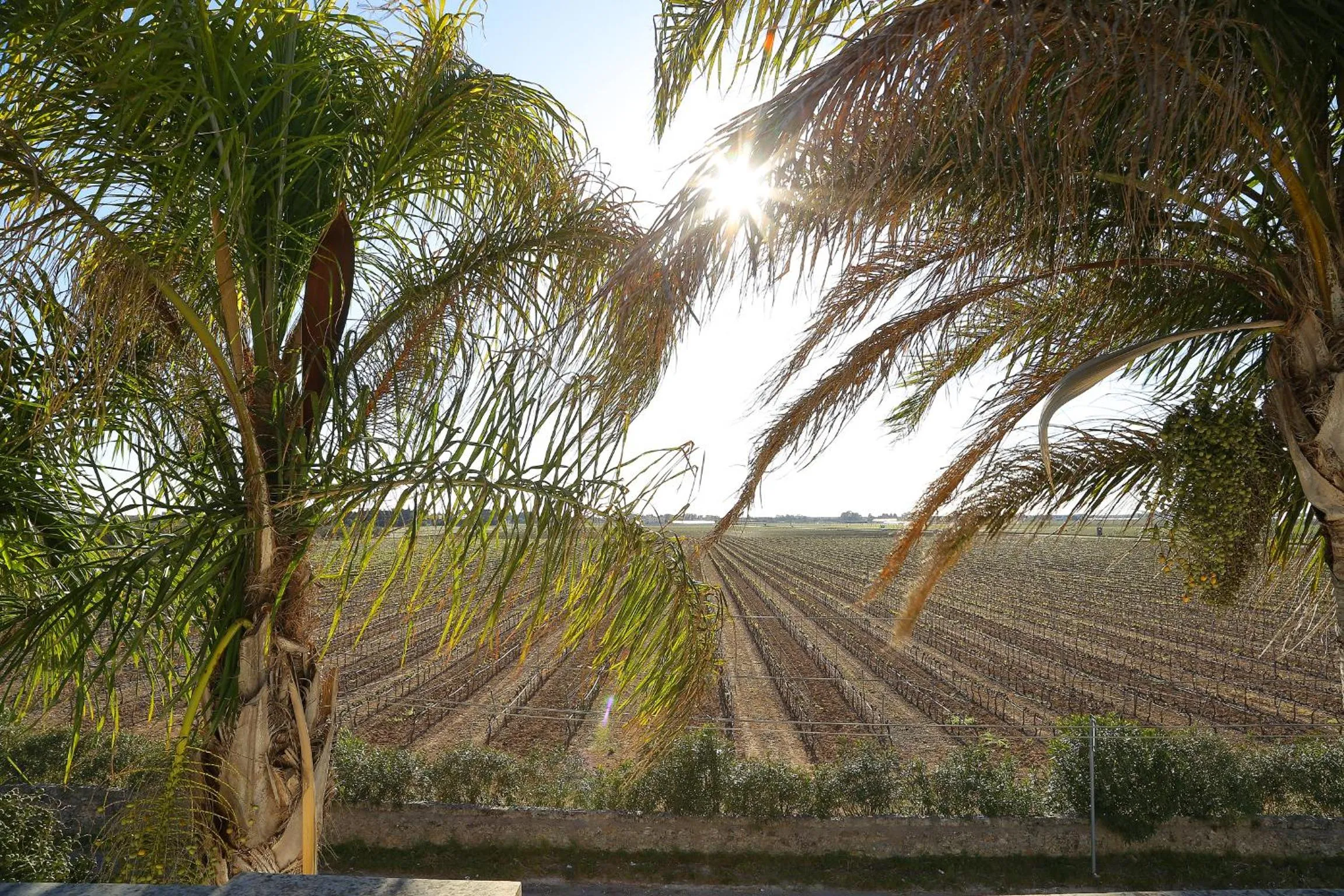 View (from property/room) in Eco Green La Vigna