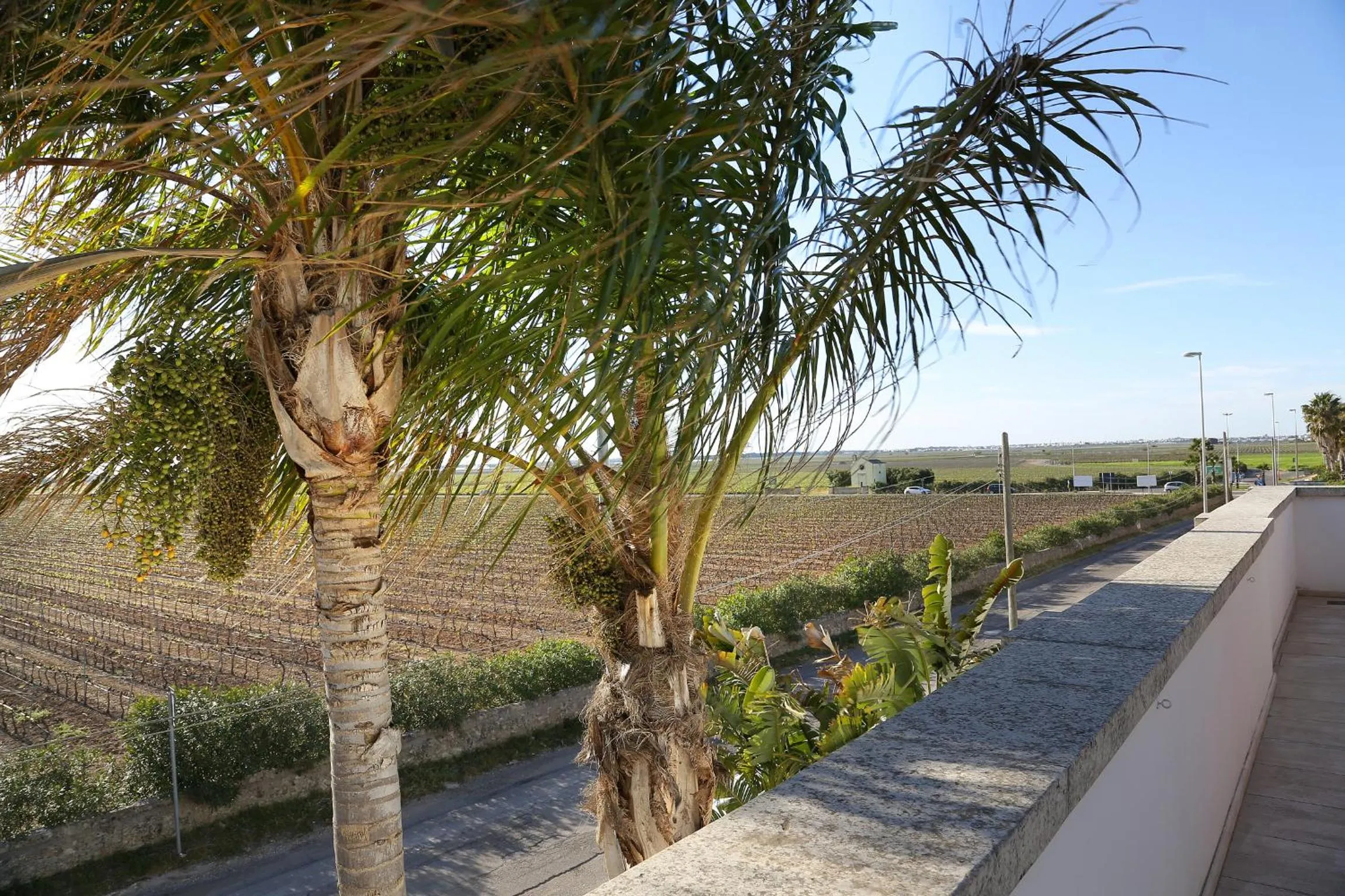 Street view in Eco Green La Vigna
