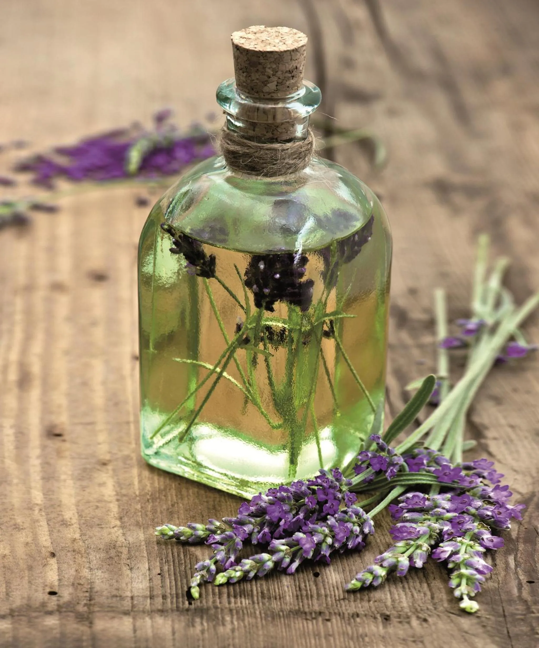 Spa and wellness centre/facilities in Canne Bianche Lifestyle Hotel