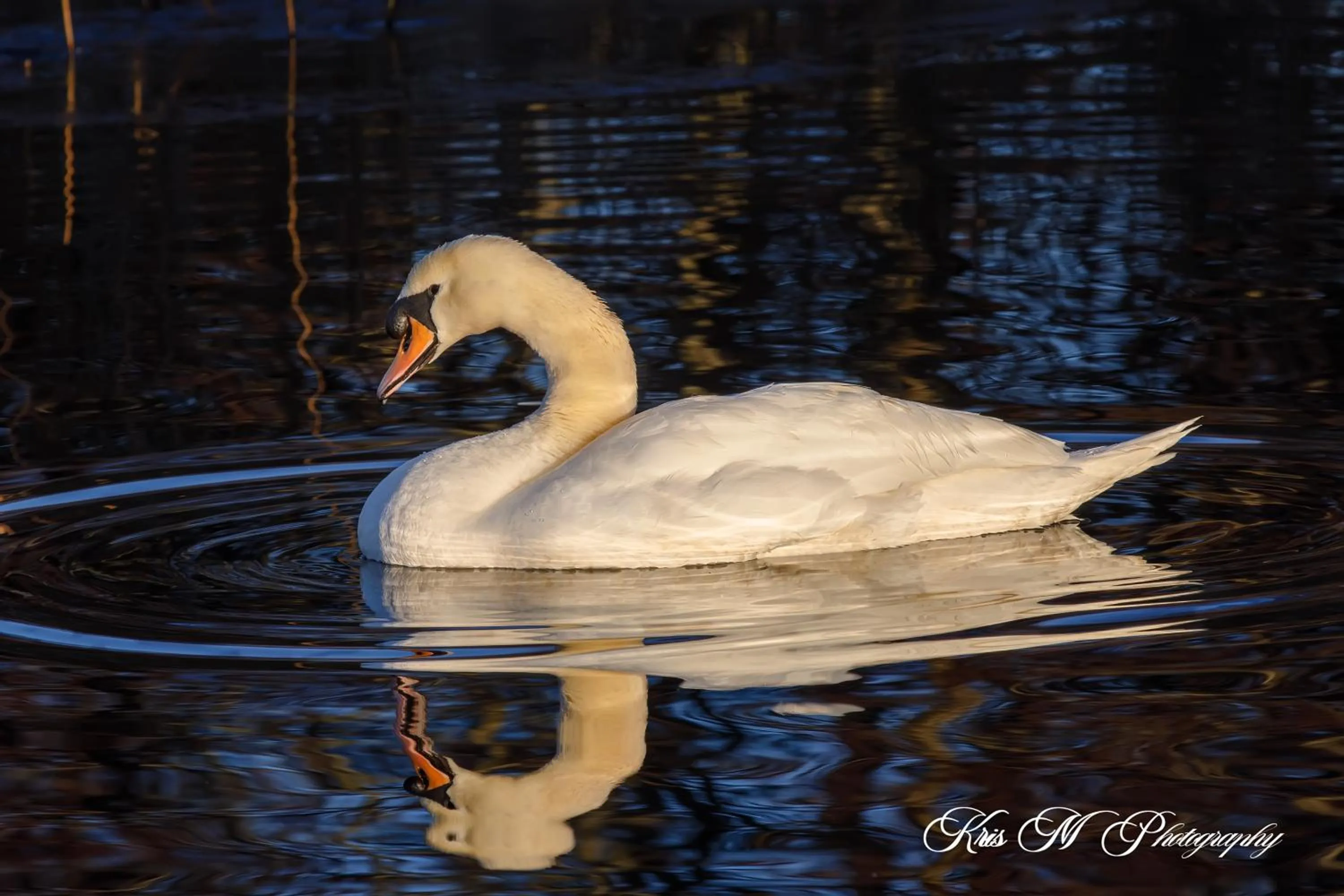 Location in Brook Lodge Boutique Hotel