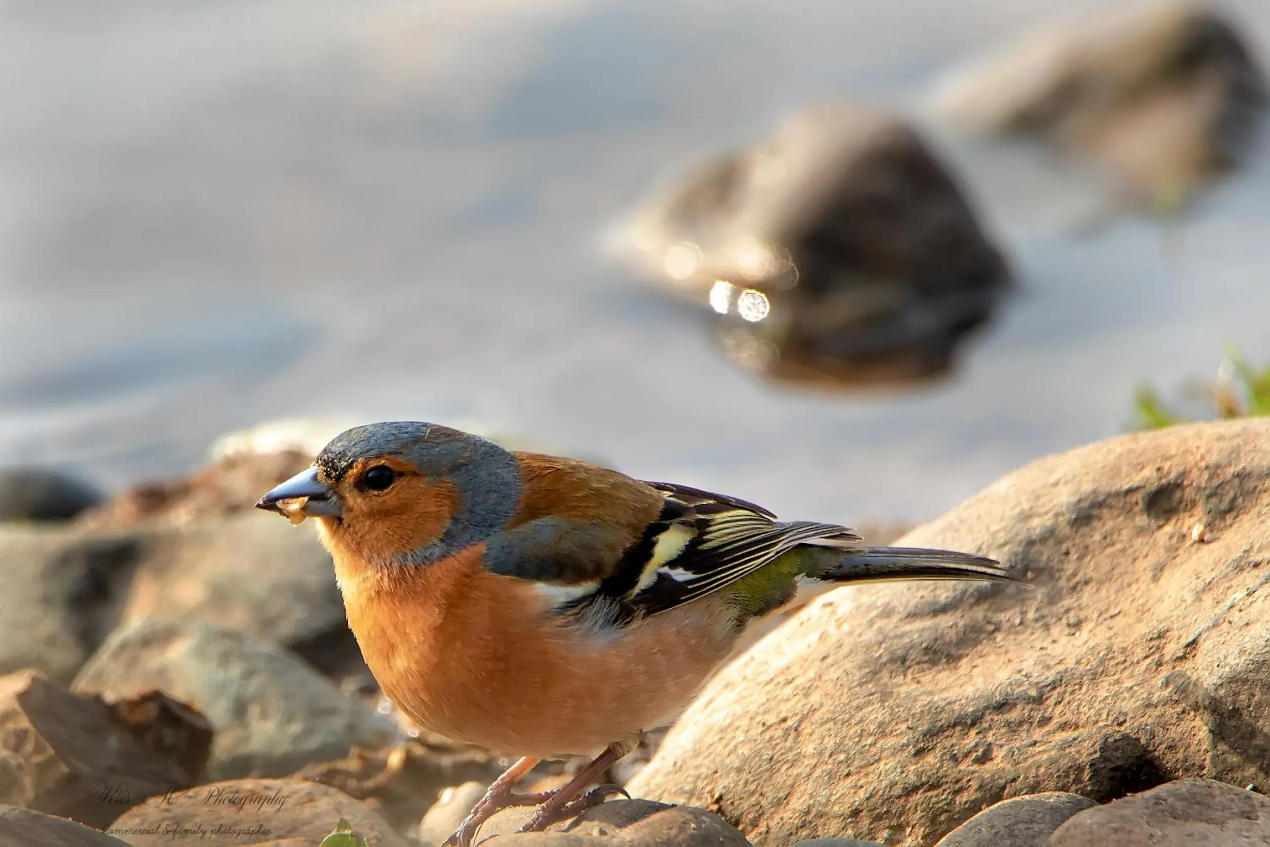 Location in Brook Lodge Boutique Hotel