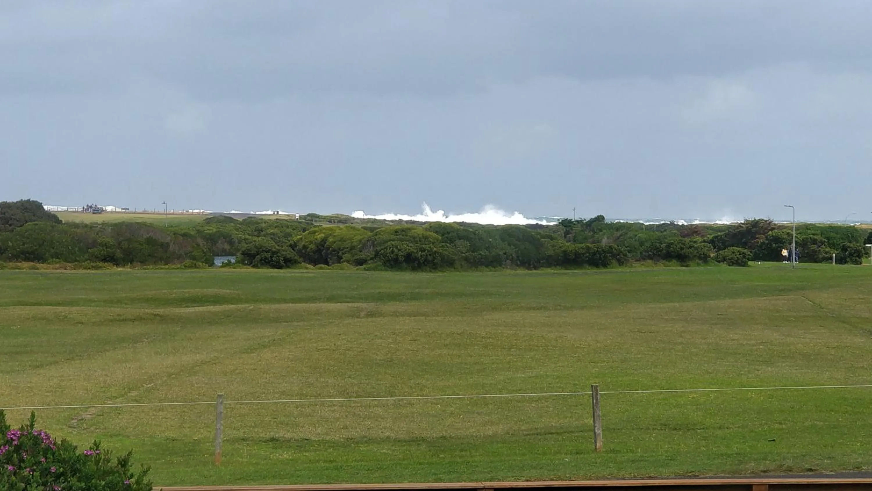 Beach in The Wandering Whale Port Fairy