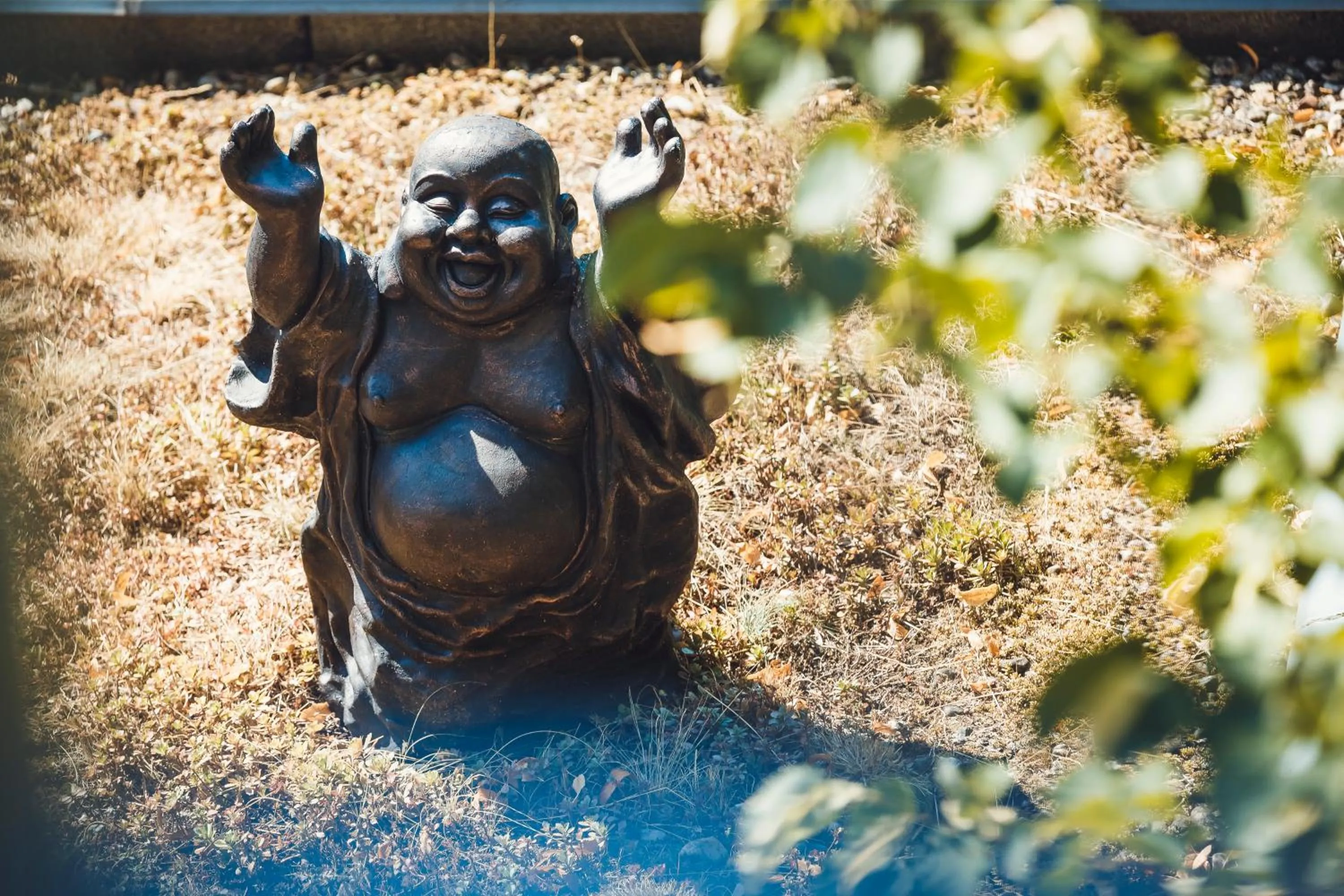 Garden in Hotel Ambiente Berlin City