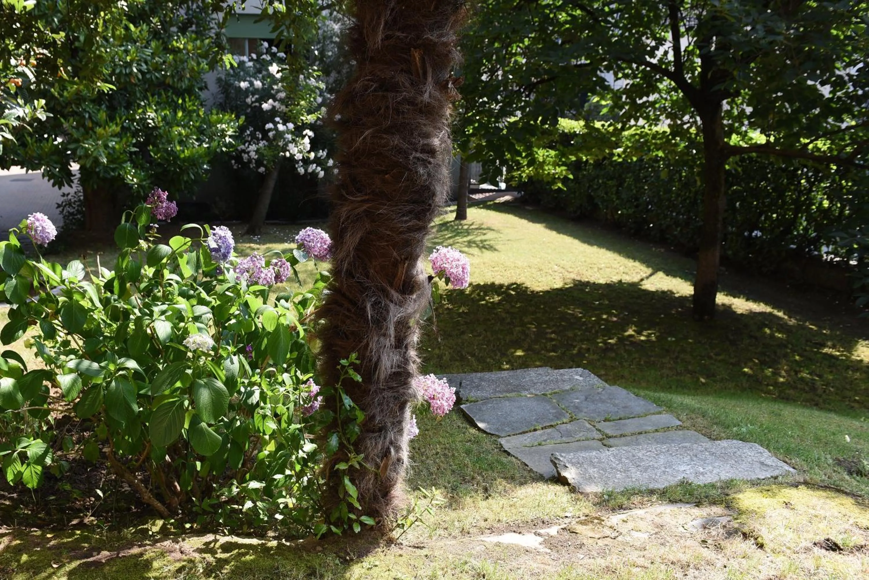 Garden in Le Rondinelle