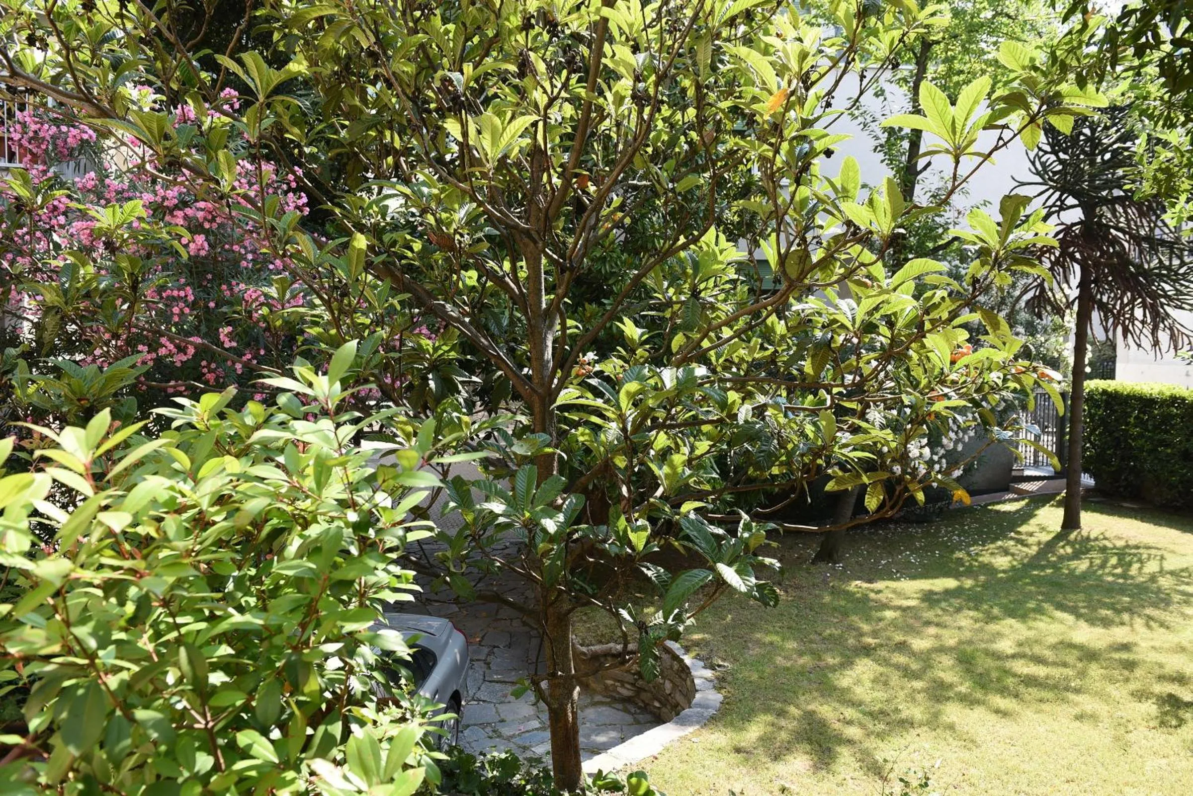 Garden in Le Rondinelle