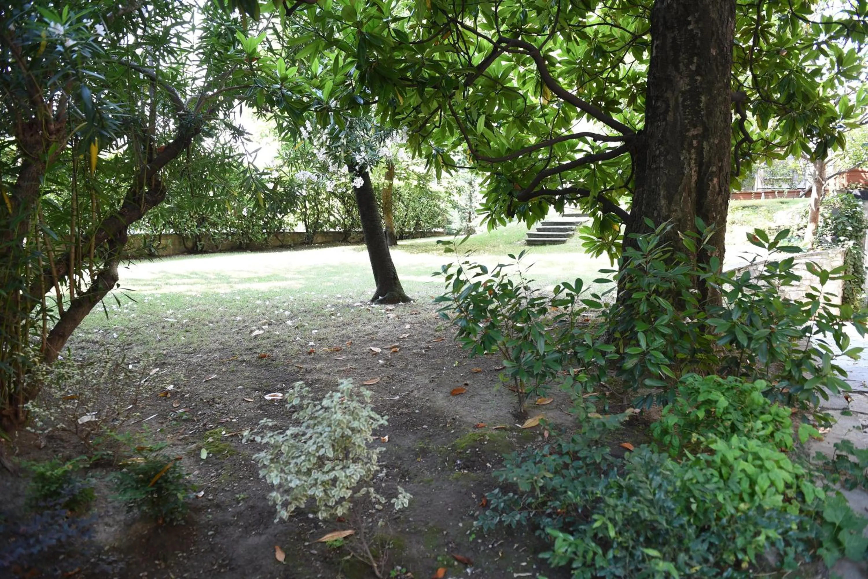 Garden in Le Rondinelle