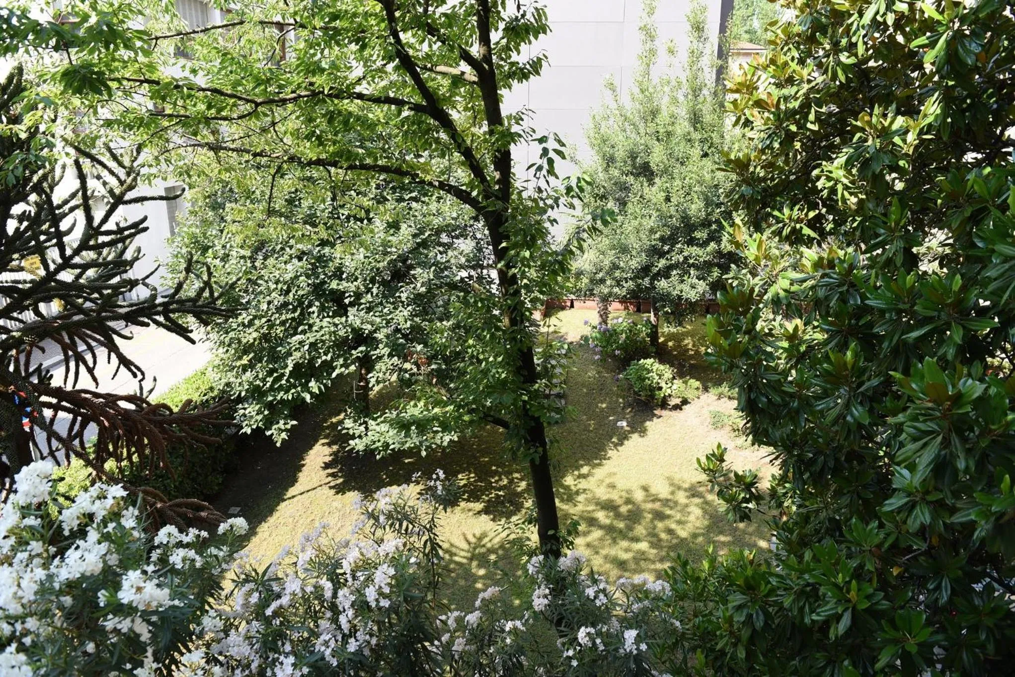 Natural landscape in Le Rondinelle