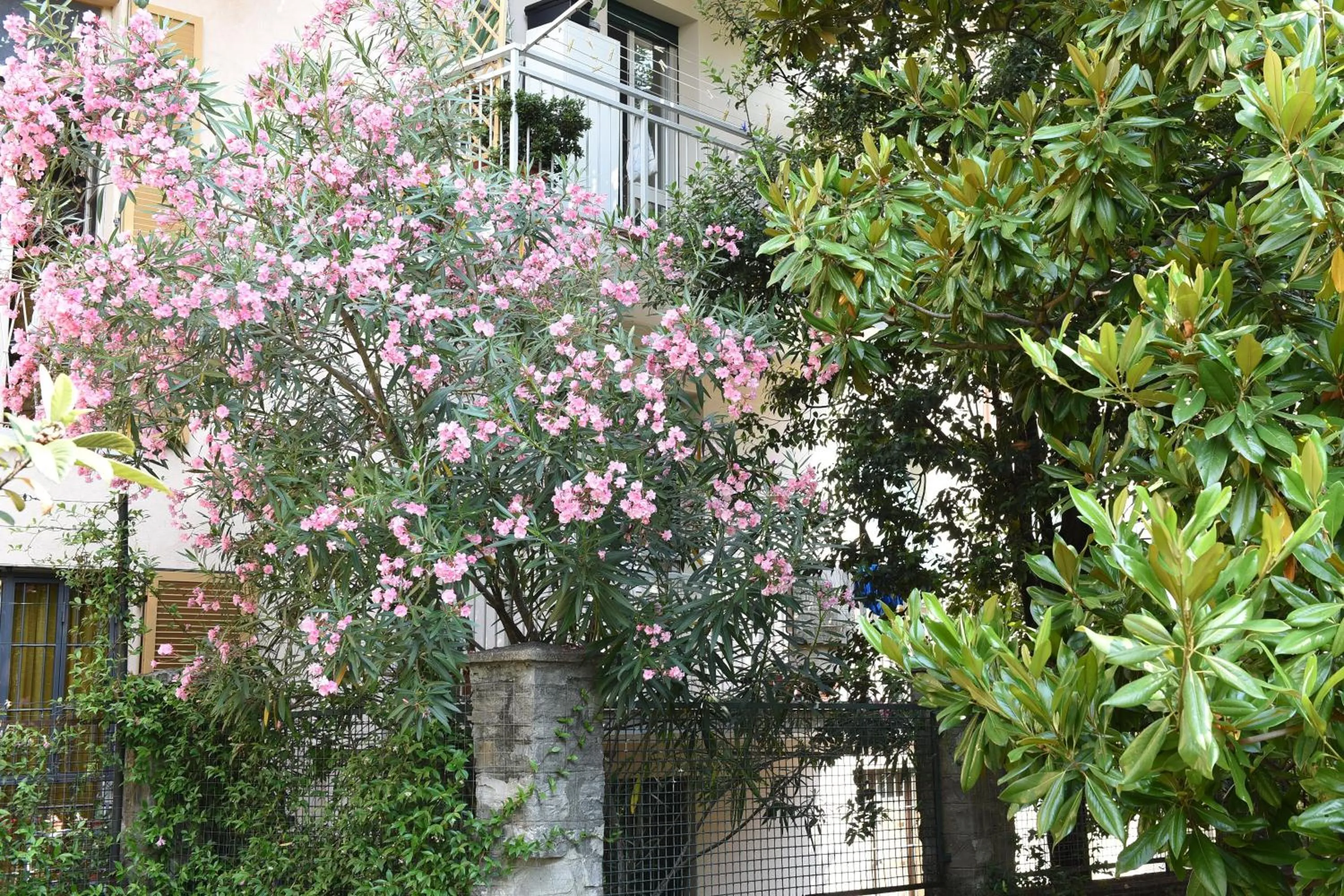 Garden in Le Rondinelle