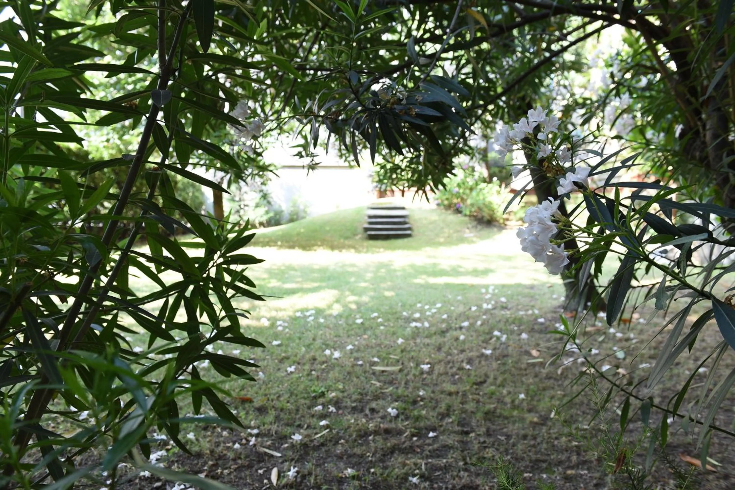 Garden in Le Rondinelle