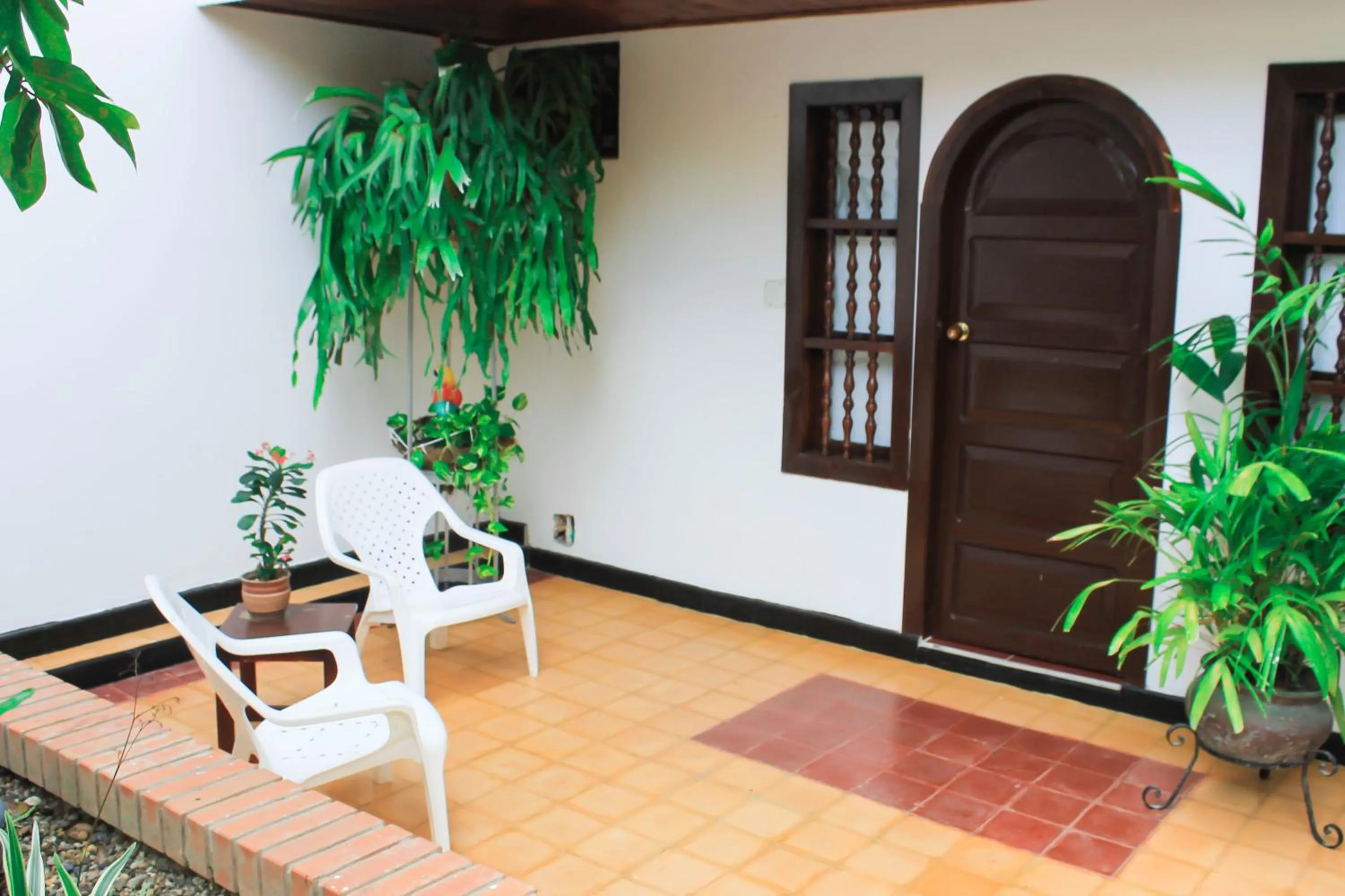 Garden in Hotel Casa Colonial