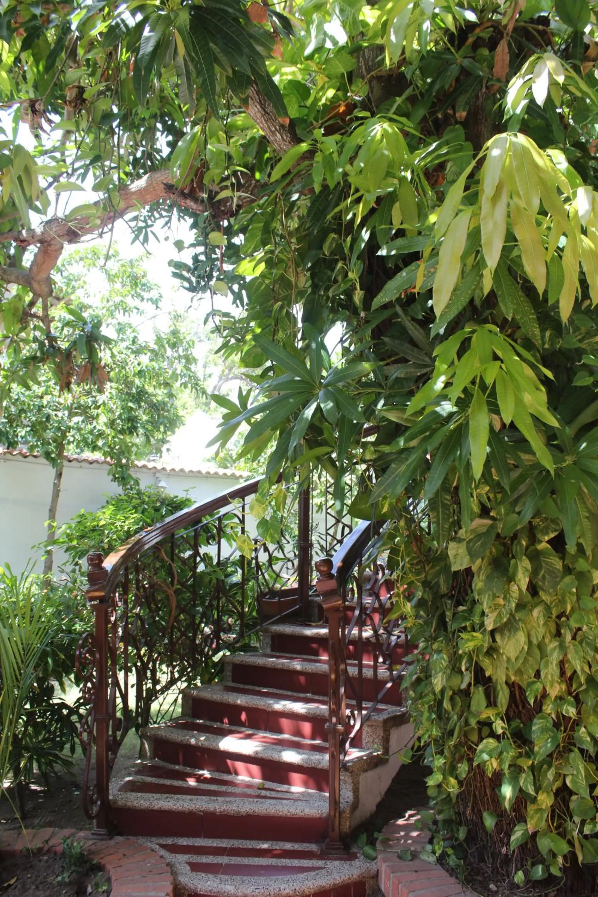 Patio in Hotel Casa Colonial