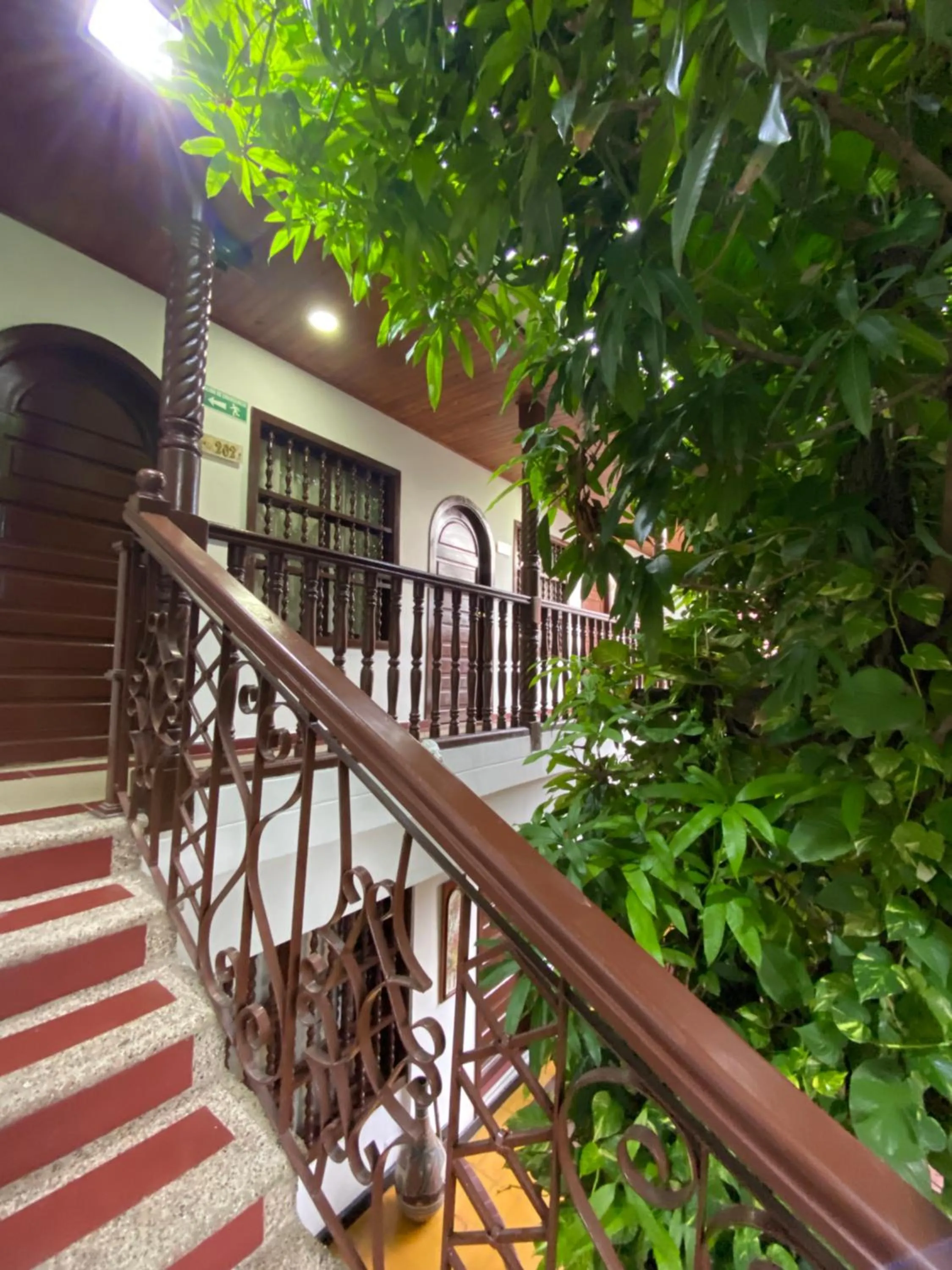 Garden in Hotel Casa Colonial