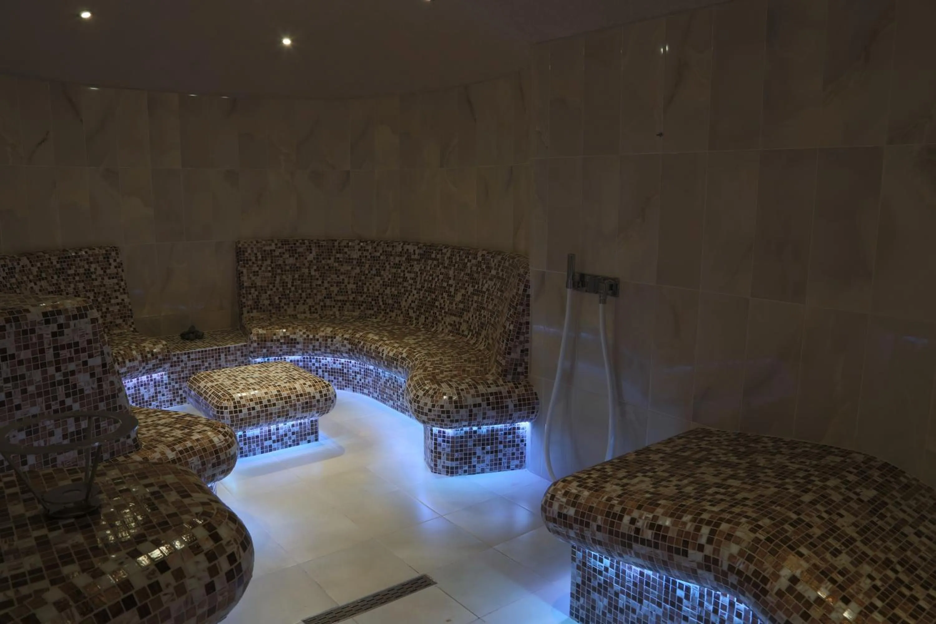 Spa and wellness centre/facilities in Tsarsko Selo Spa Hotel