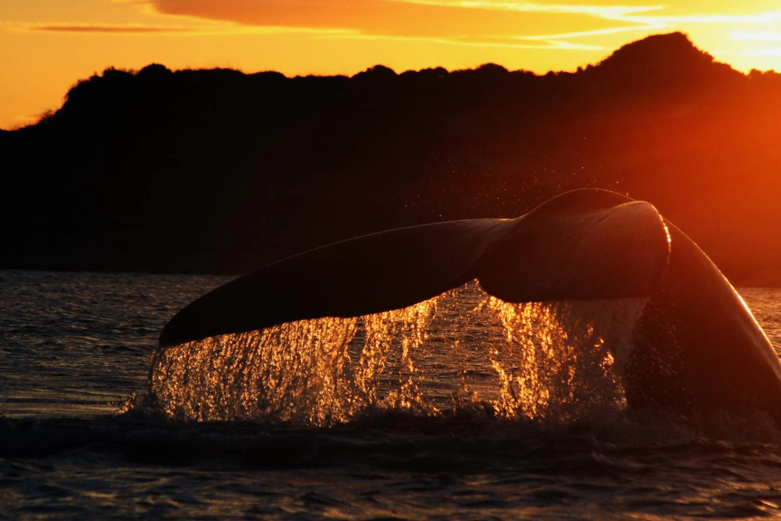 Natural landscape in Rayentray Las Restingas Hotel De Mar