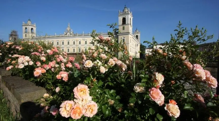 Area and facilities in La Meridiana Affittacamere
