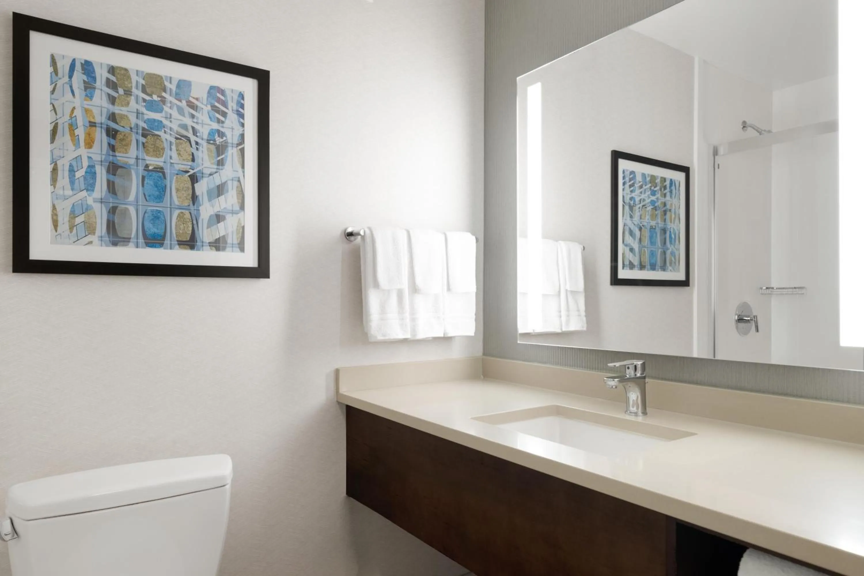 Bathroom in Hilton Garden Inn Chicago Downtown/Magnificent Mile